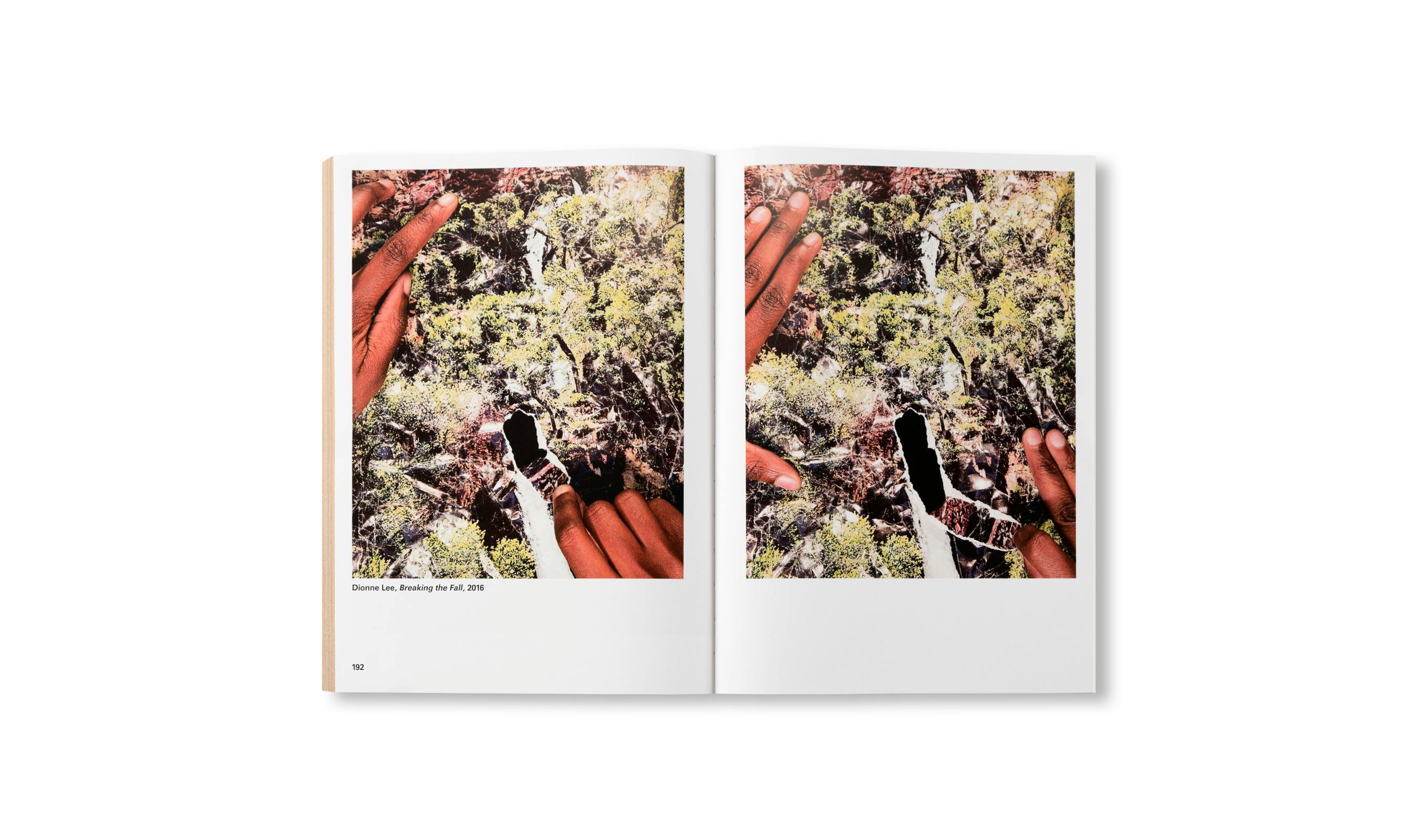 WIDENING THE LENS: PHOTOGRAPHY, ECOLOGY, AND THE CONTEMPORARY LANDSCAPE