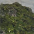 やんばるの岳