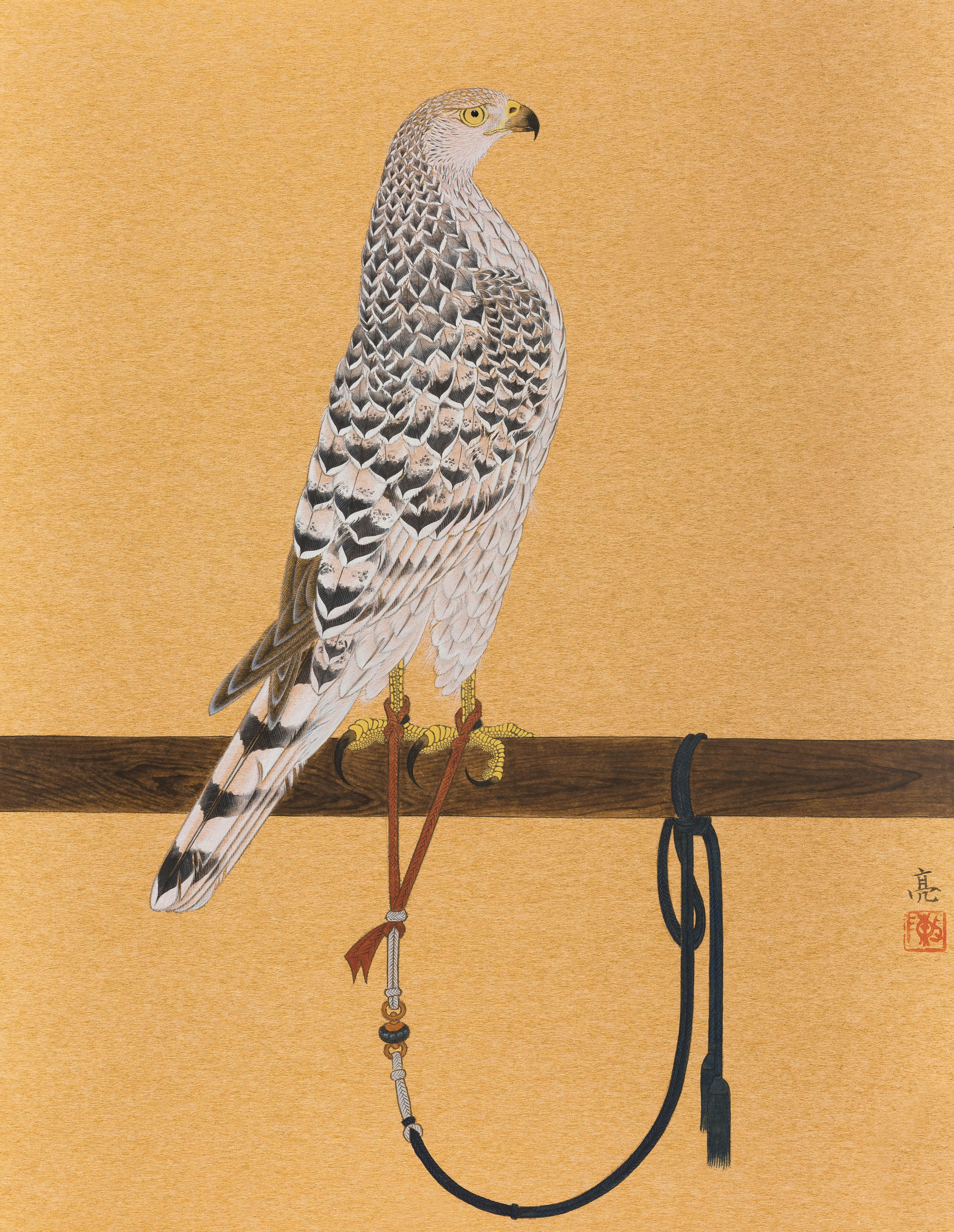 架鷹シリーズ ― 草白