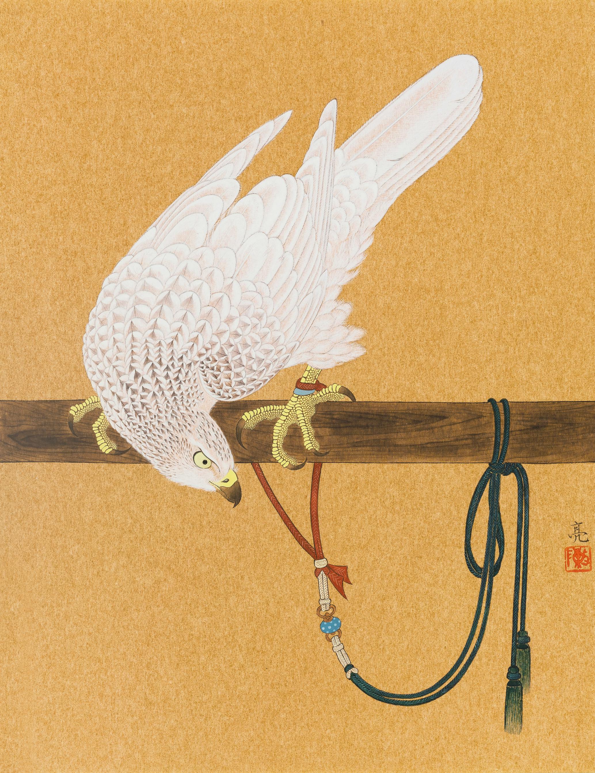 架鷹シリーズ ― 玉花