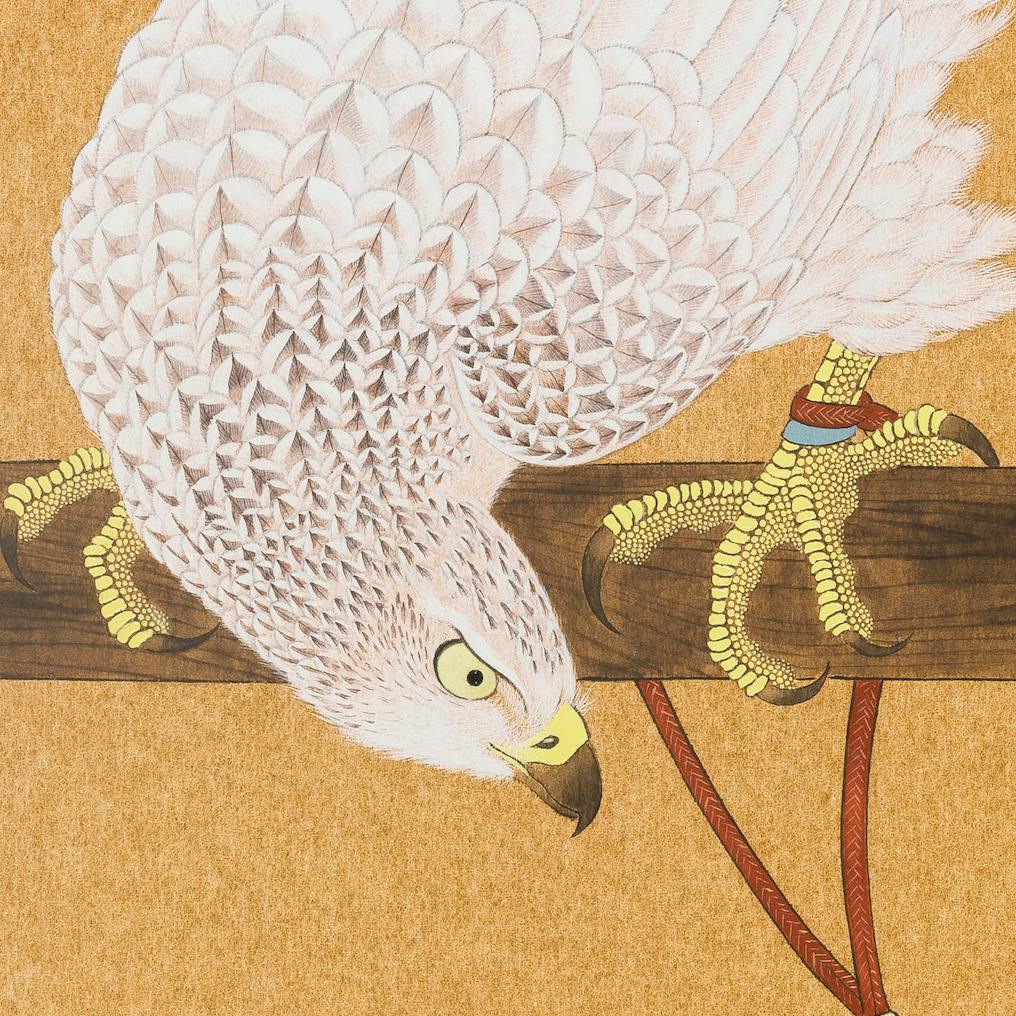 架鷹シリーズ ― 玉花