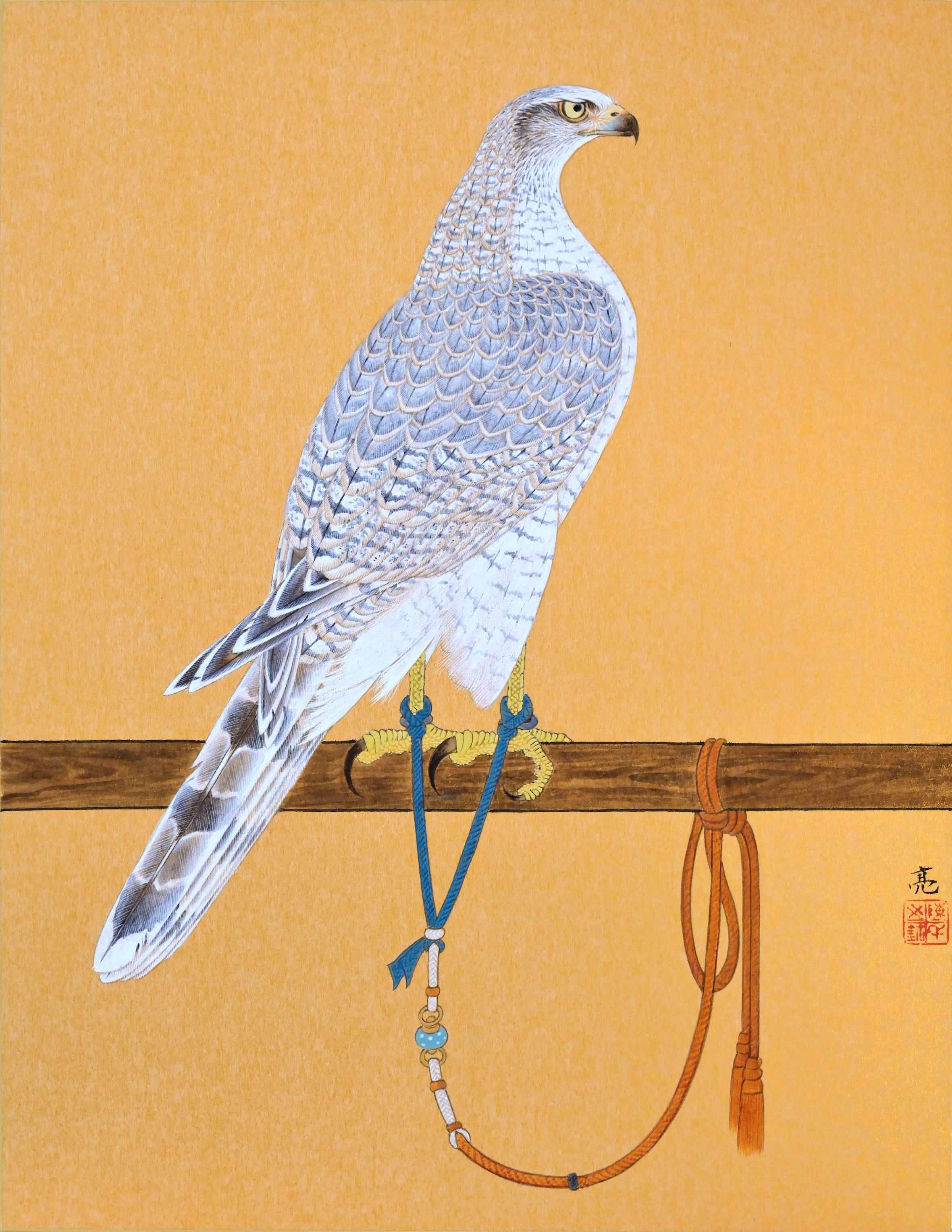 架鷹シリーズ ― 玉蒼