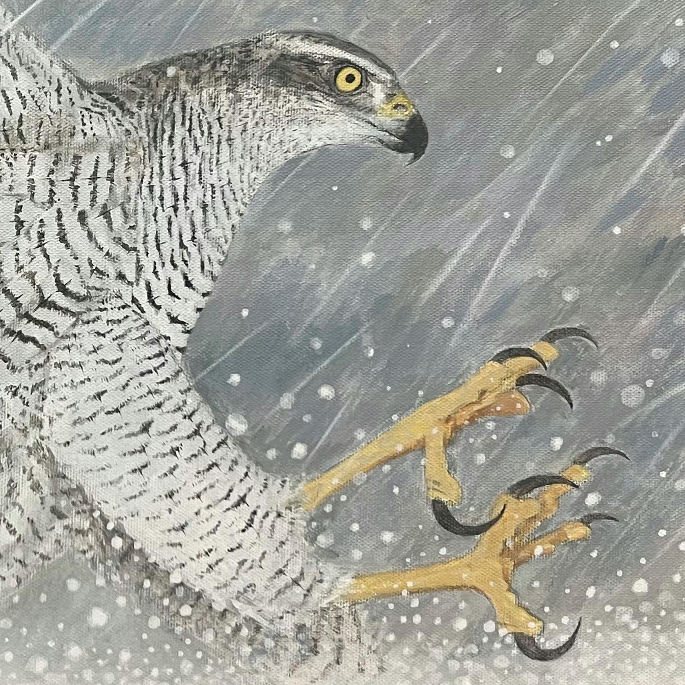蒼雪
