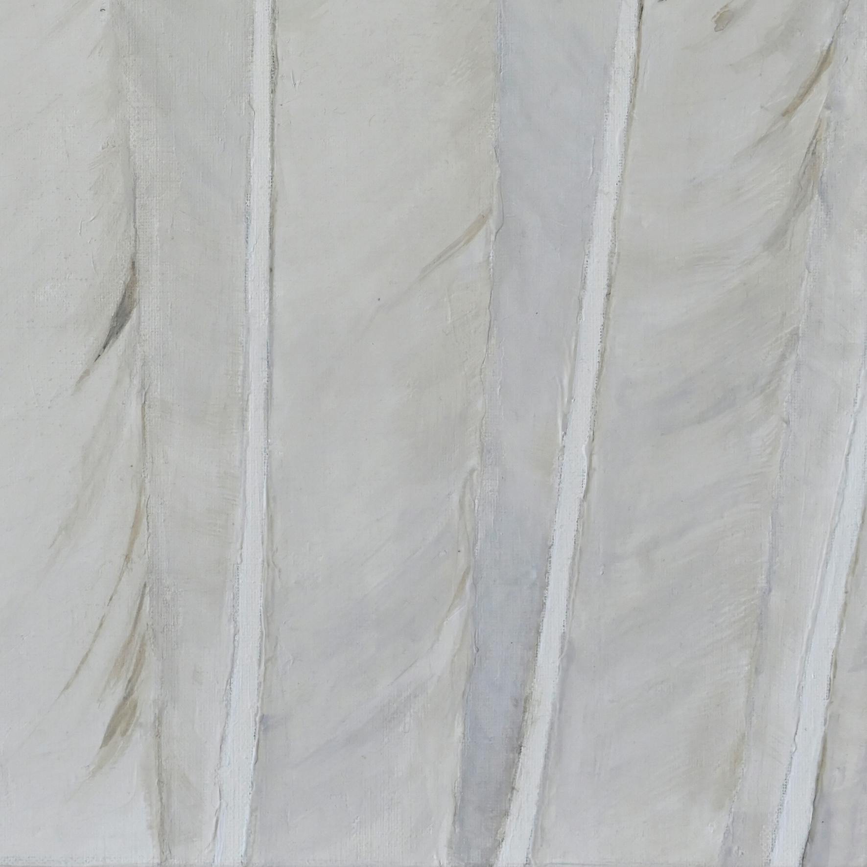 羽—Ac—1