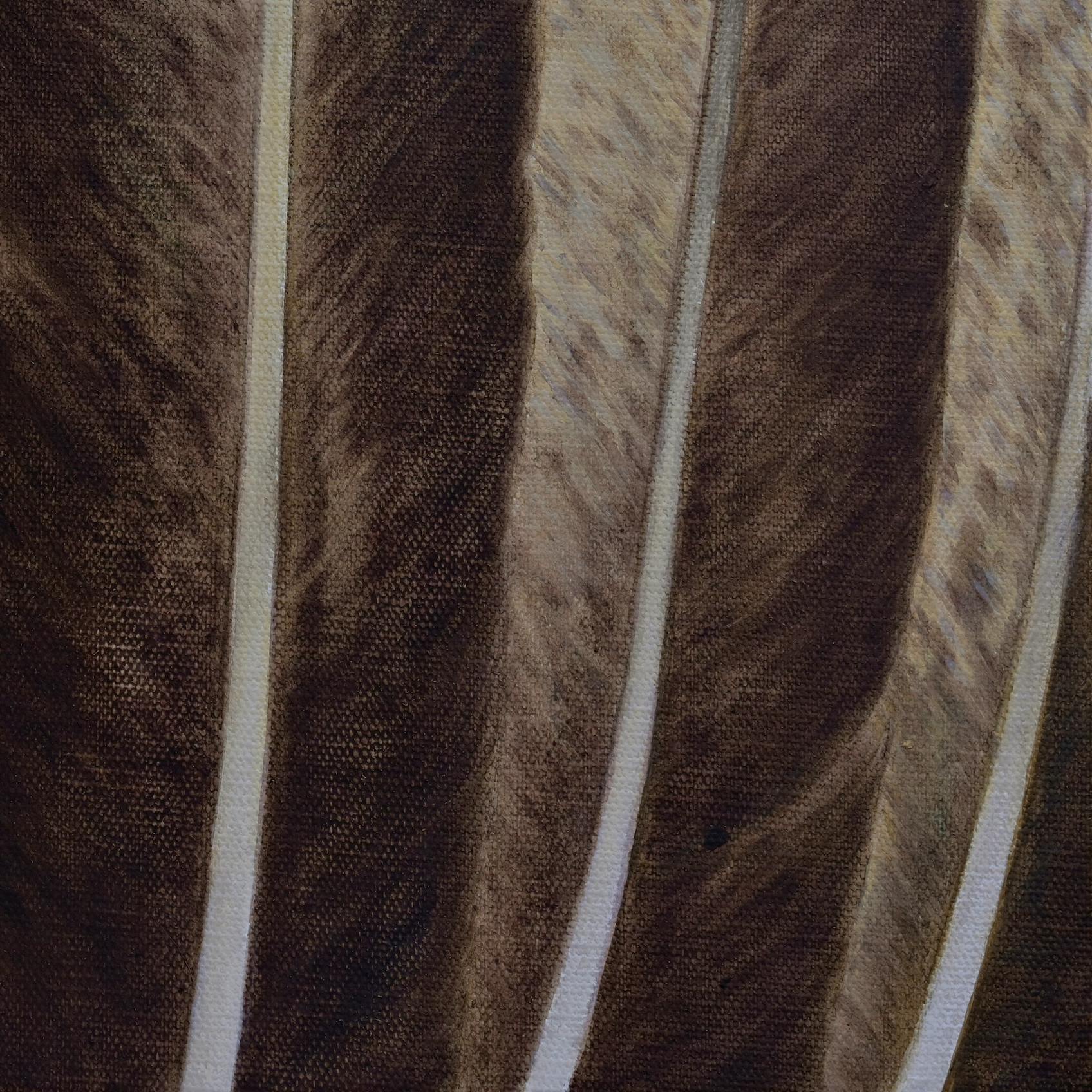 羽—Ha—1