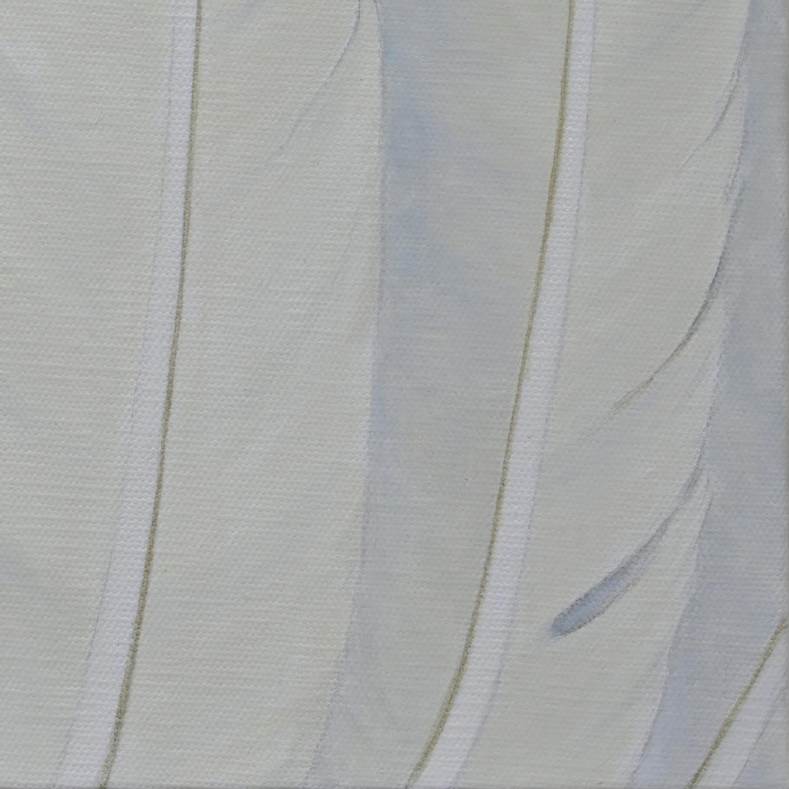 羽—Ha—3