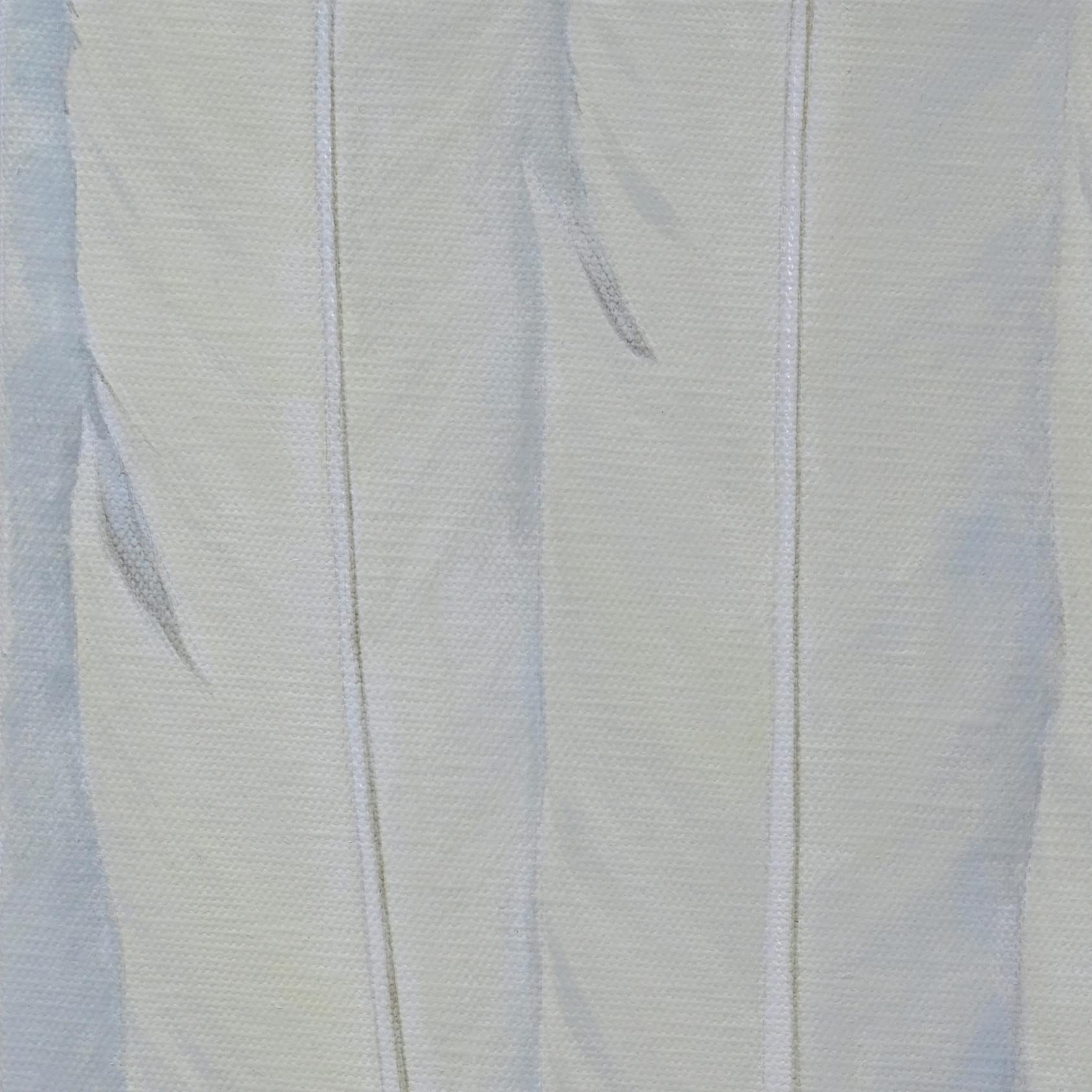 羽—Ha—3