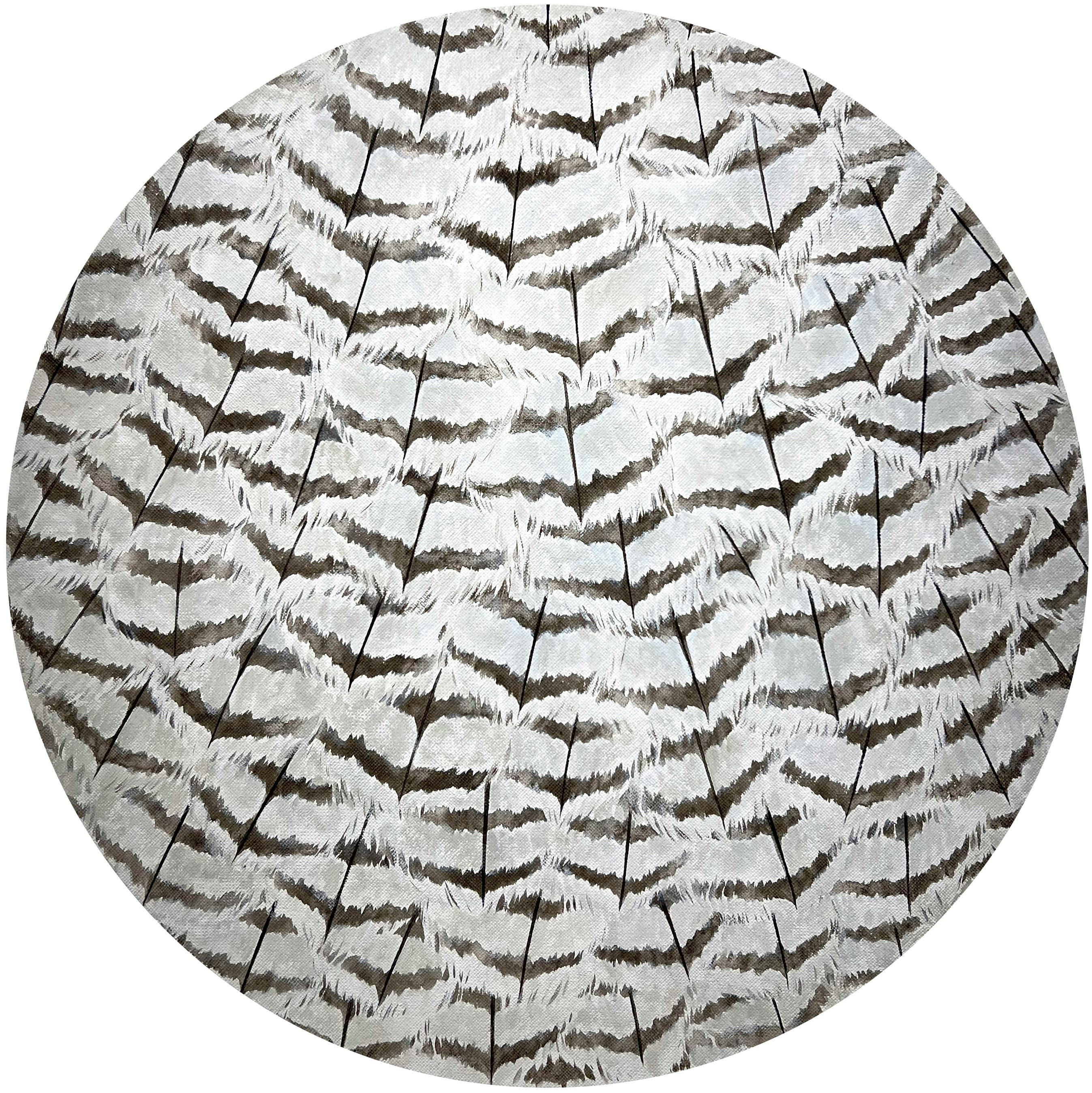羽—Ag—2