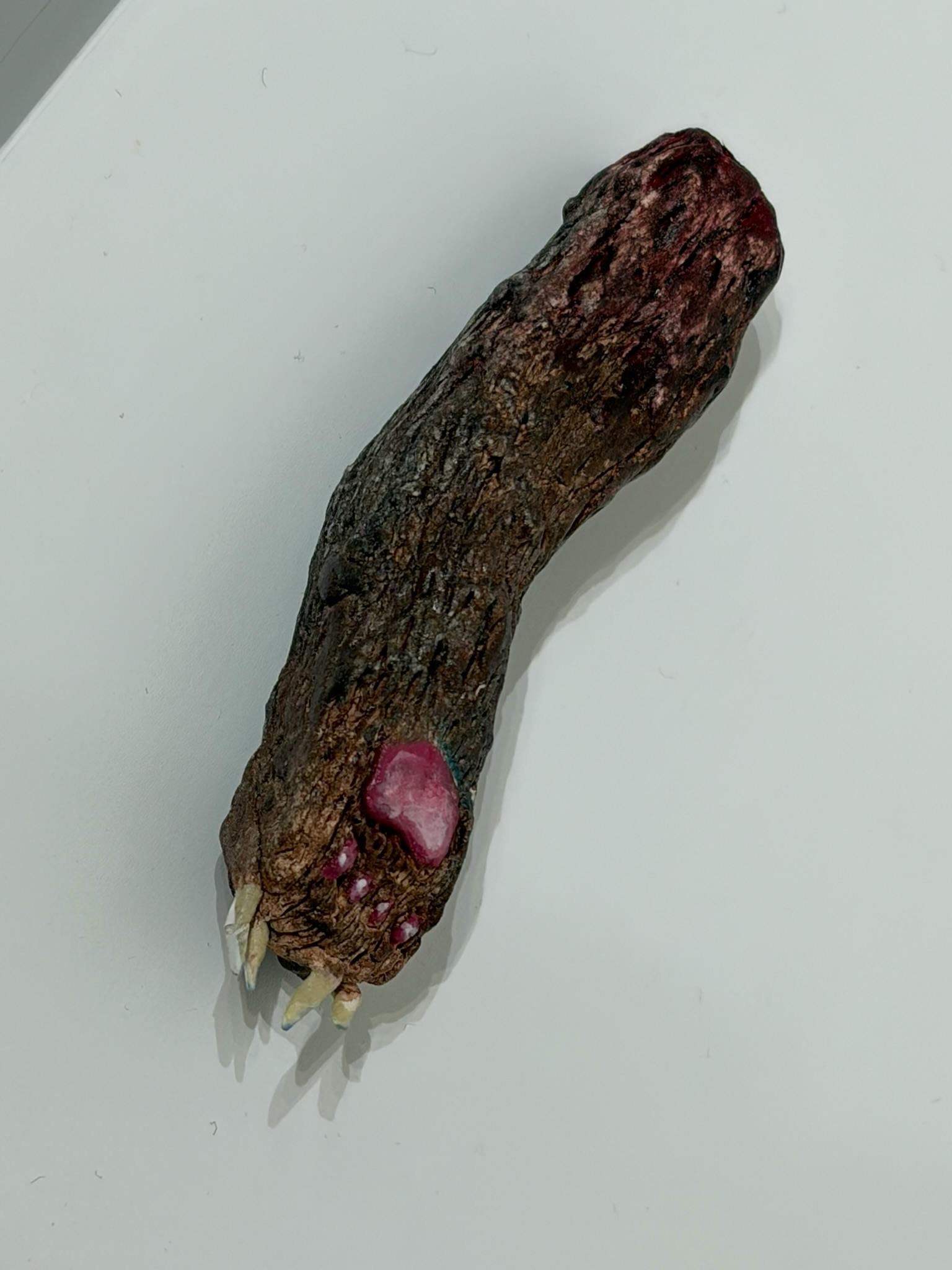 熊の手