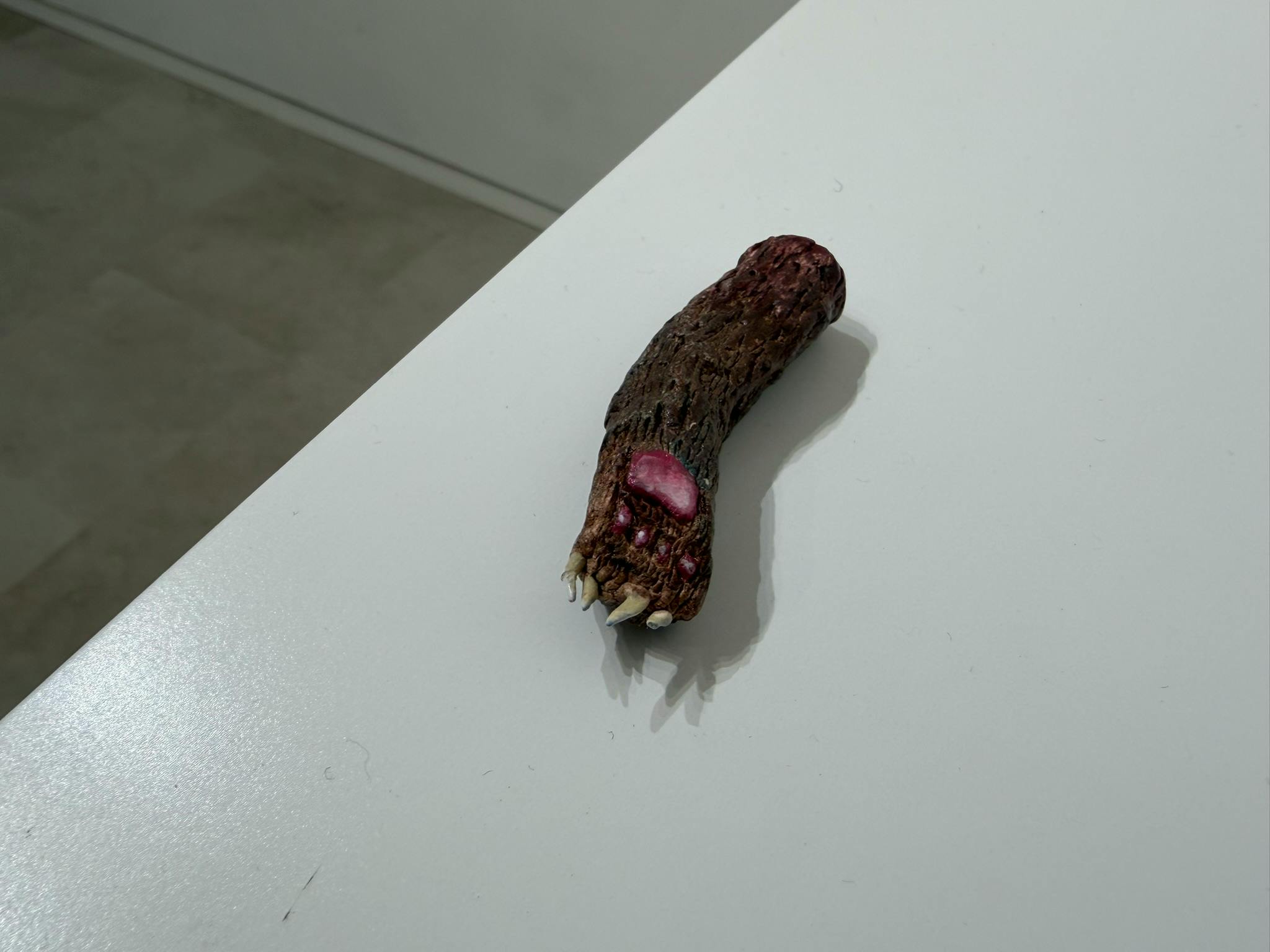 熊の手