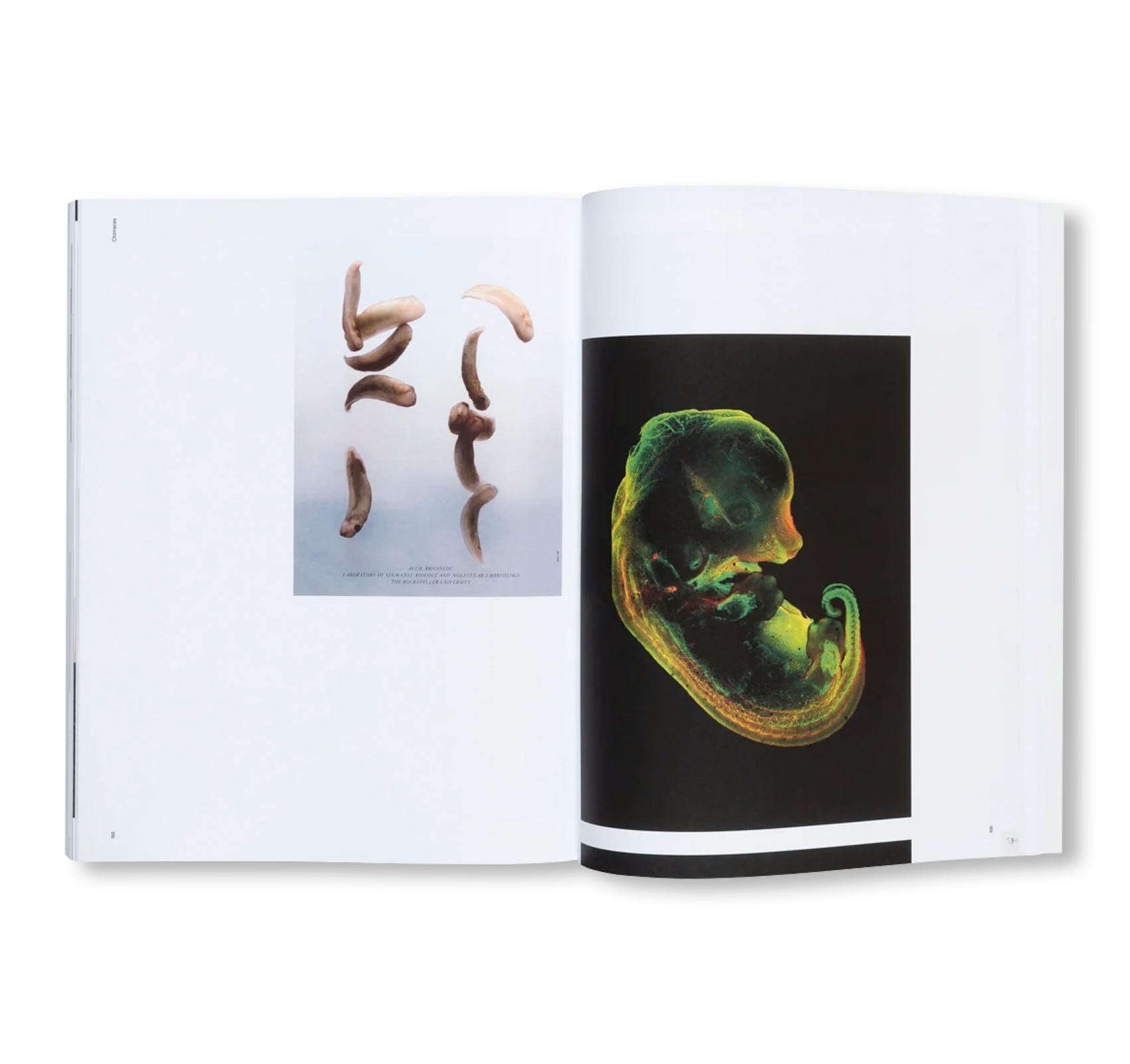 PIERRE HUYGHE (HATJE CANTZ)