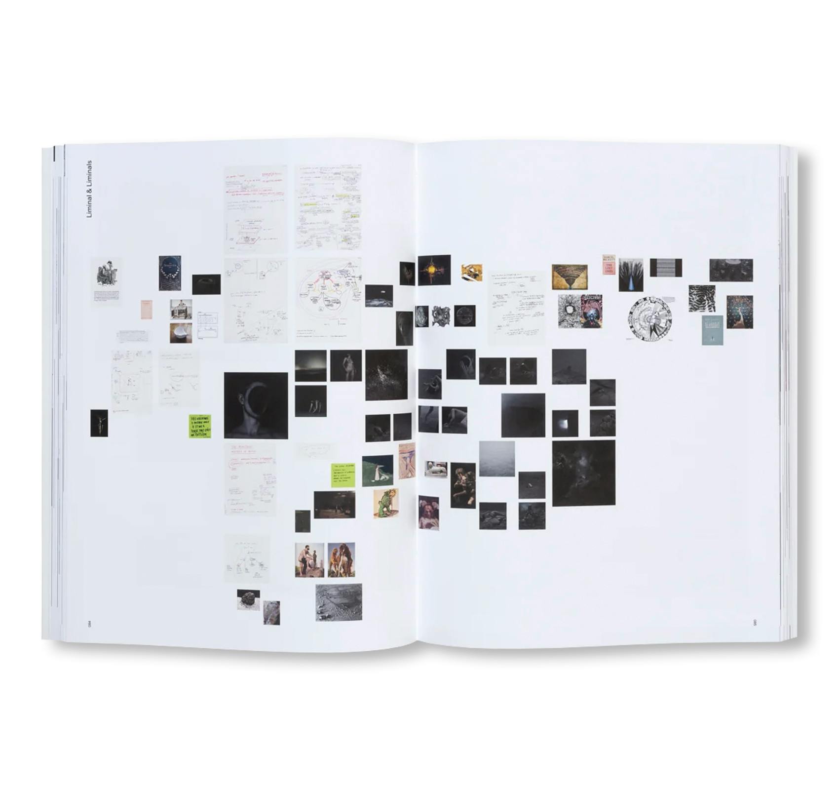 PIERRE HUYGHE (HATJE CANTZ)