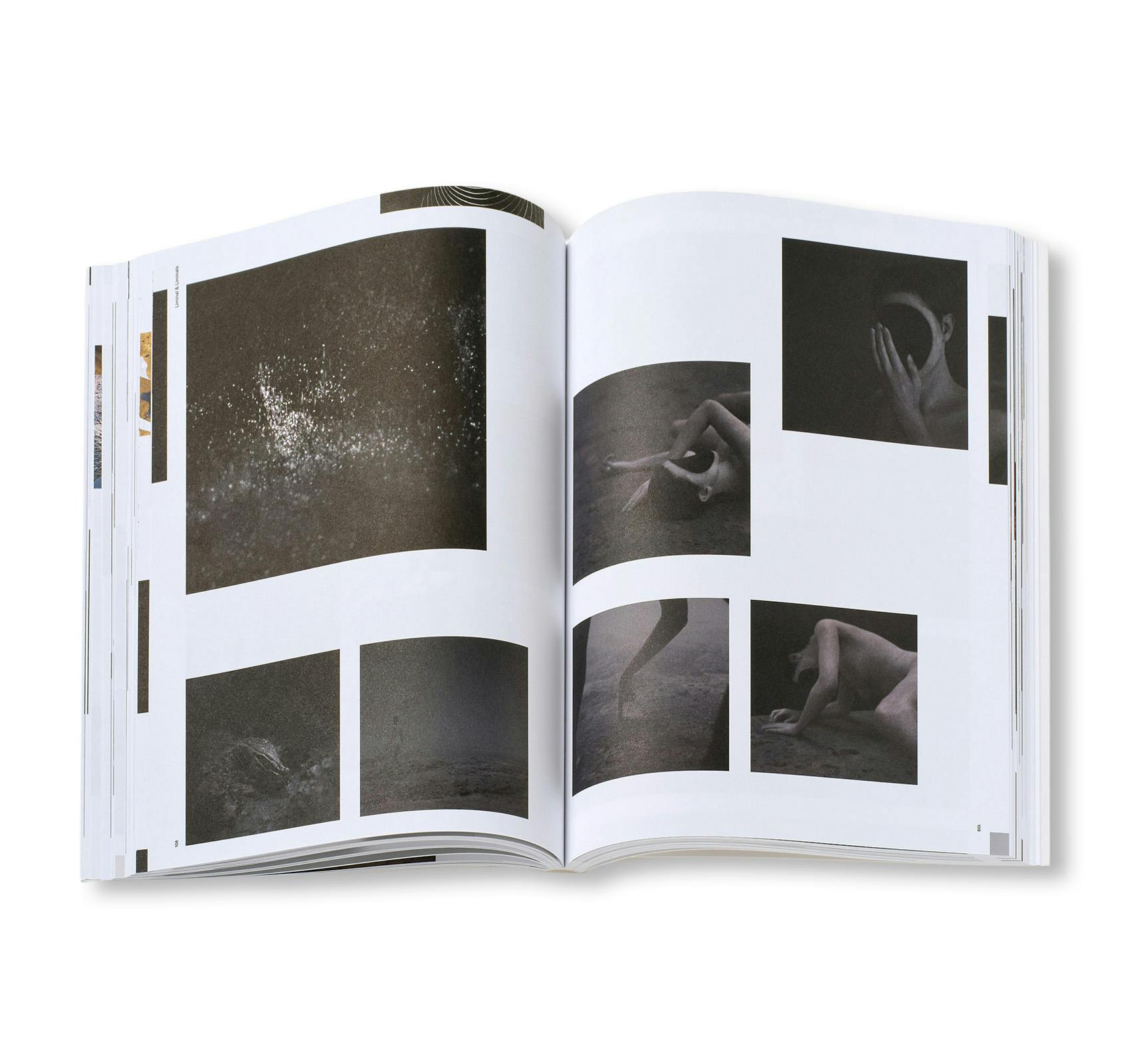 PIERRE HUYGHE (HATJE CANTZ)