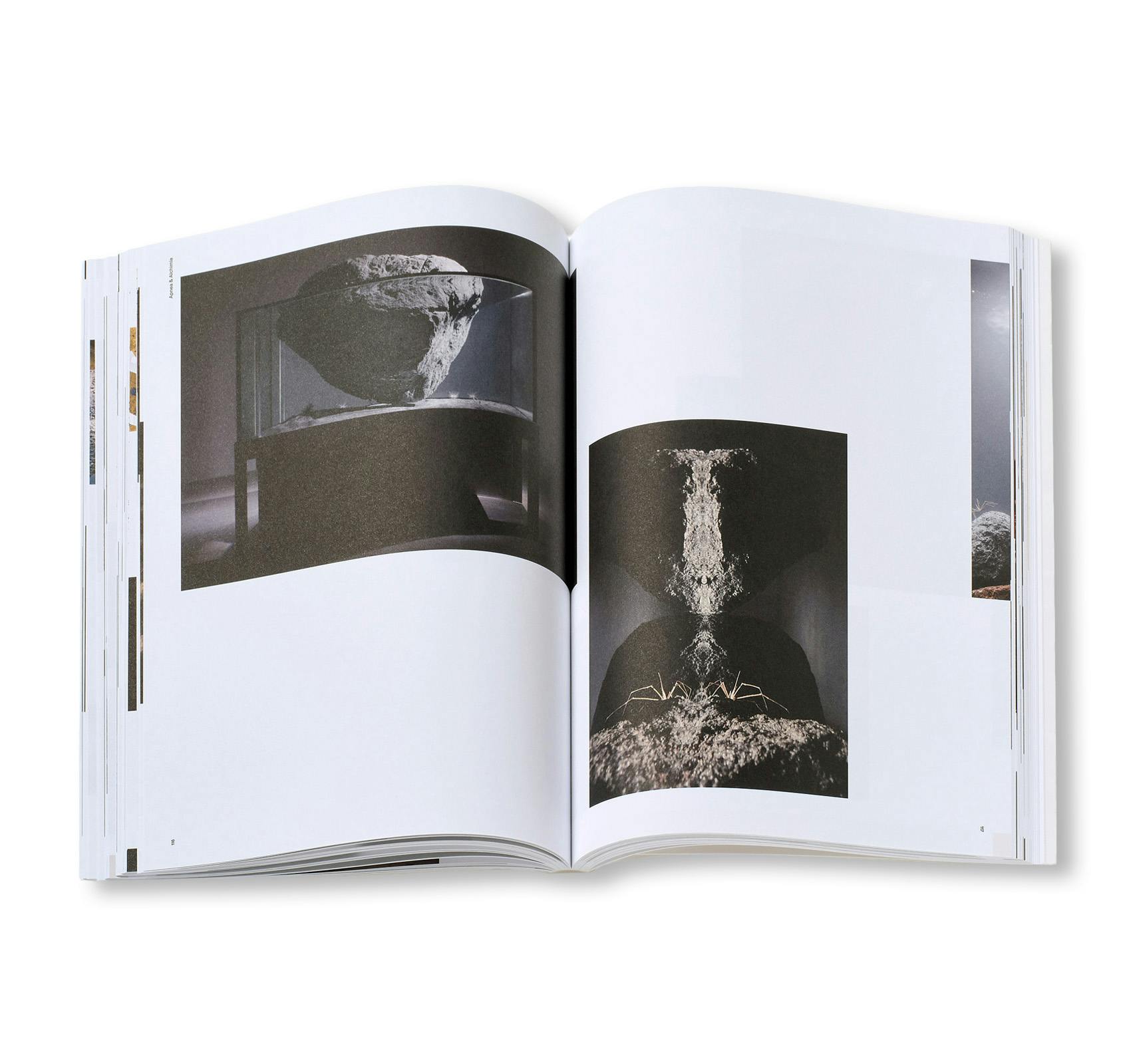PIERRE HUYGHE (HATJE CANTZ)