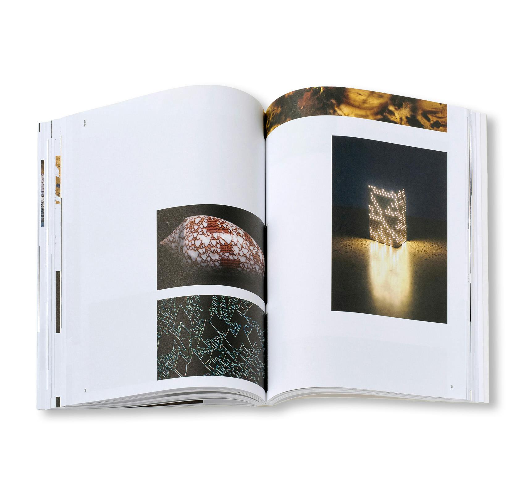 PIERRE HUYGHE (HATJE CANTZ)