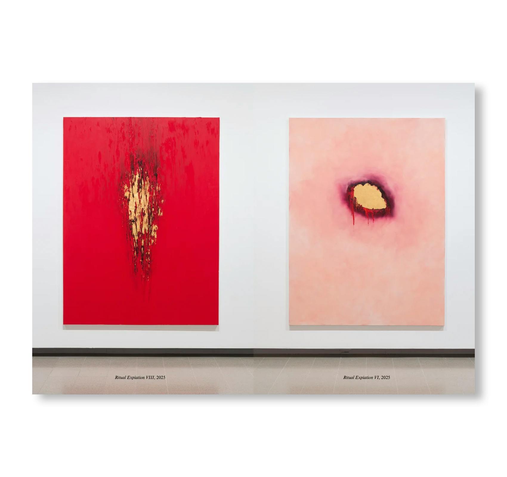 ANISH KAPOOR (HAYWARD GALLERY PUBLISHING)