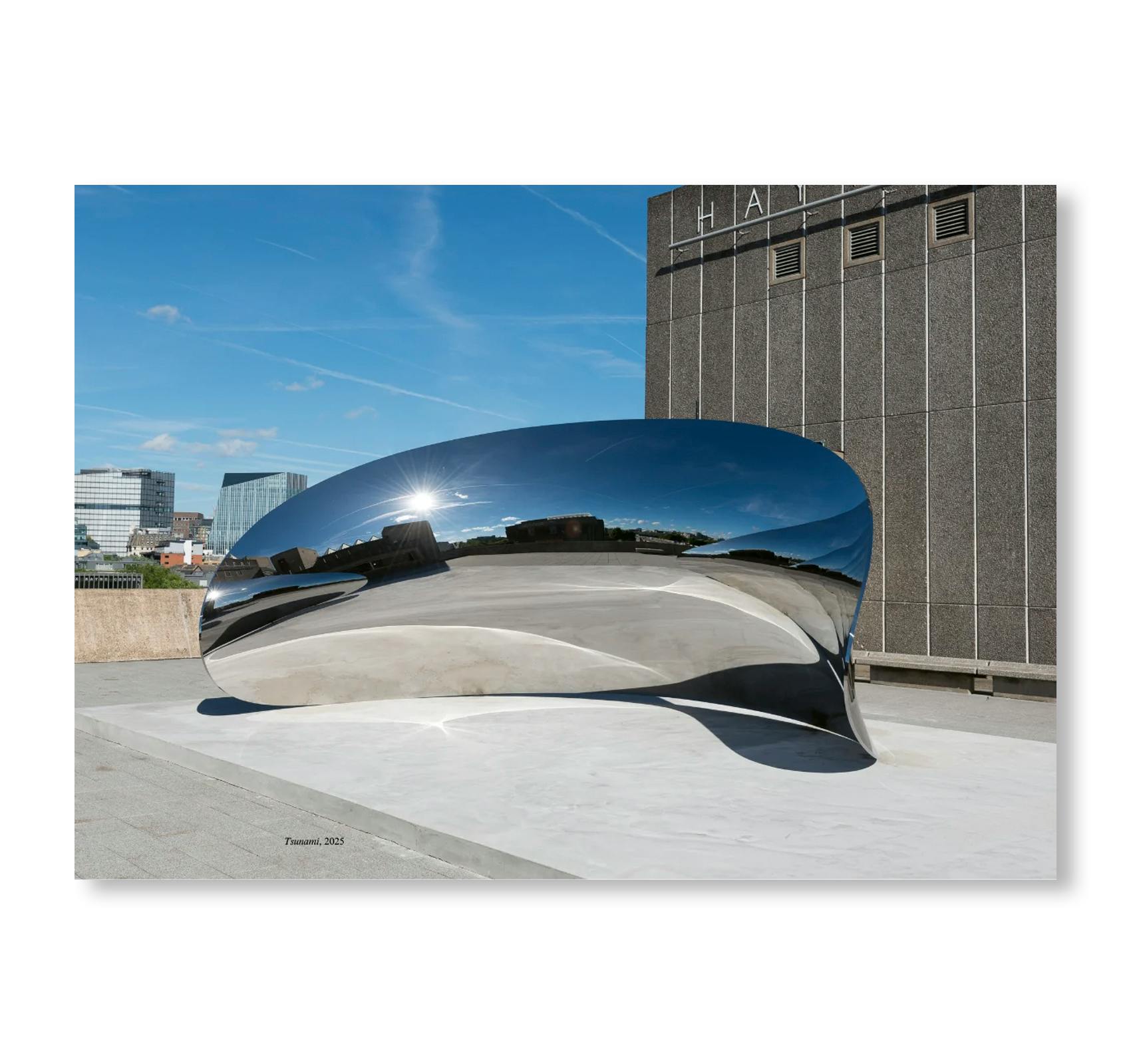 ANISH KAPOOR (HAYWARD GALLERY PUBLISHING)