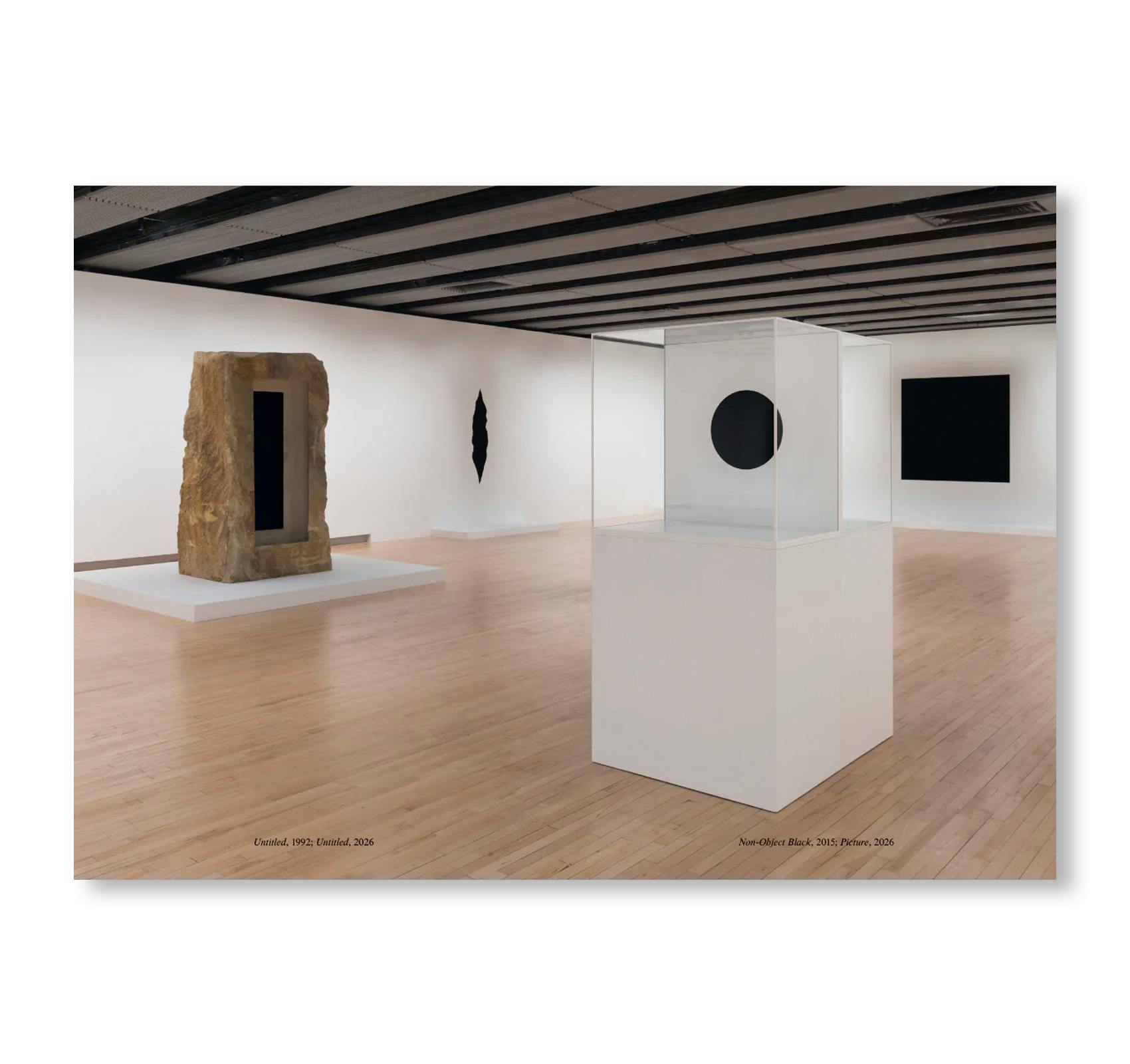 ANISH KAPOOR (HAYWARD GALLERY PUBLISHING)