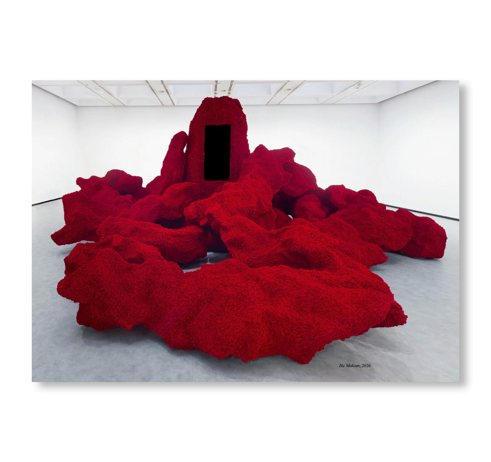 ANISH KAPOOR (HAYWARD GALLERY PUBLISHING)