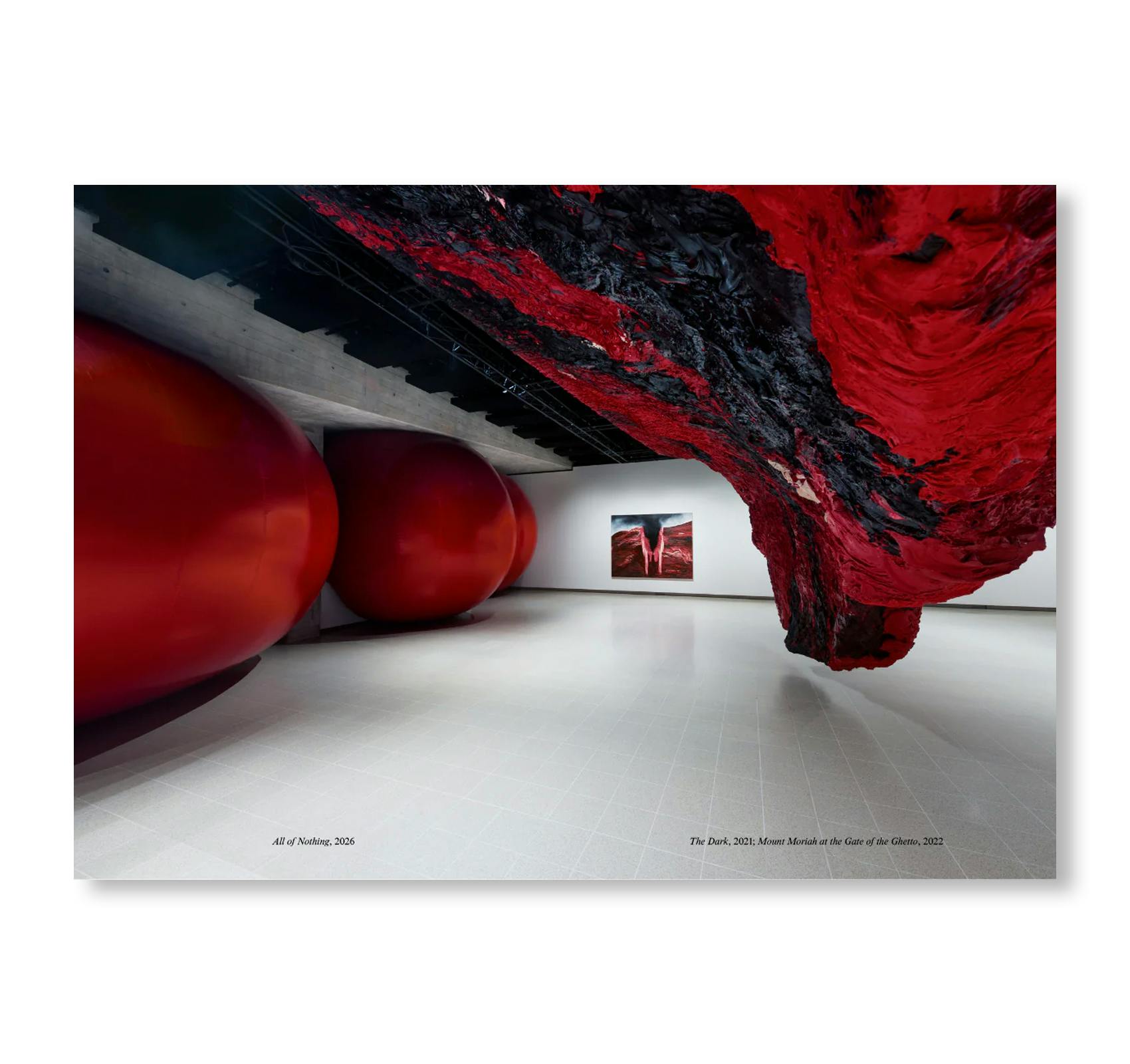 ANISH KAPOOR (HAYWARD GALLERY PUBLISHING)