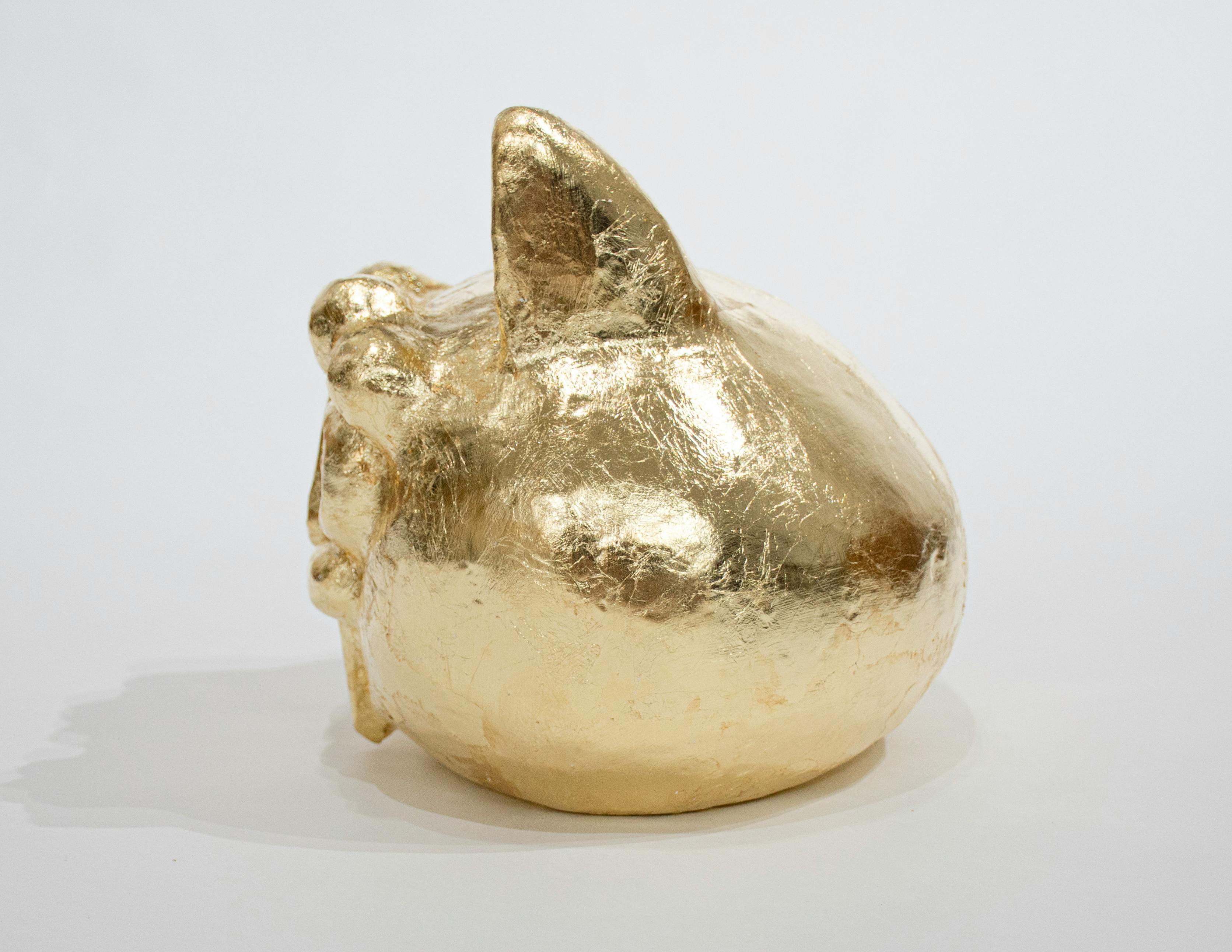 金色猫様頭像