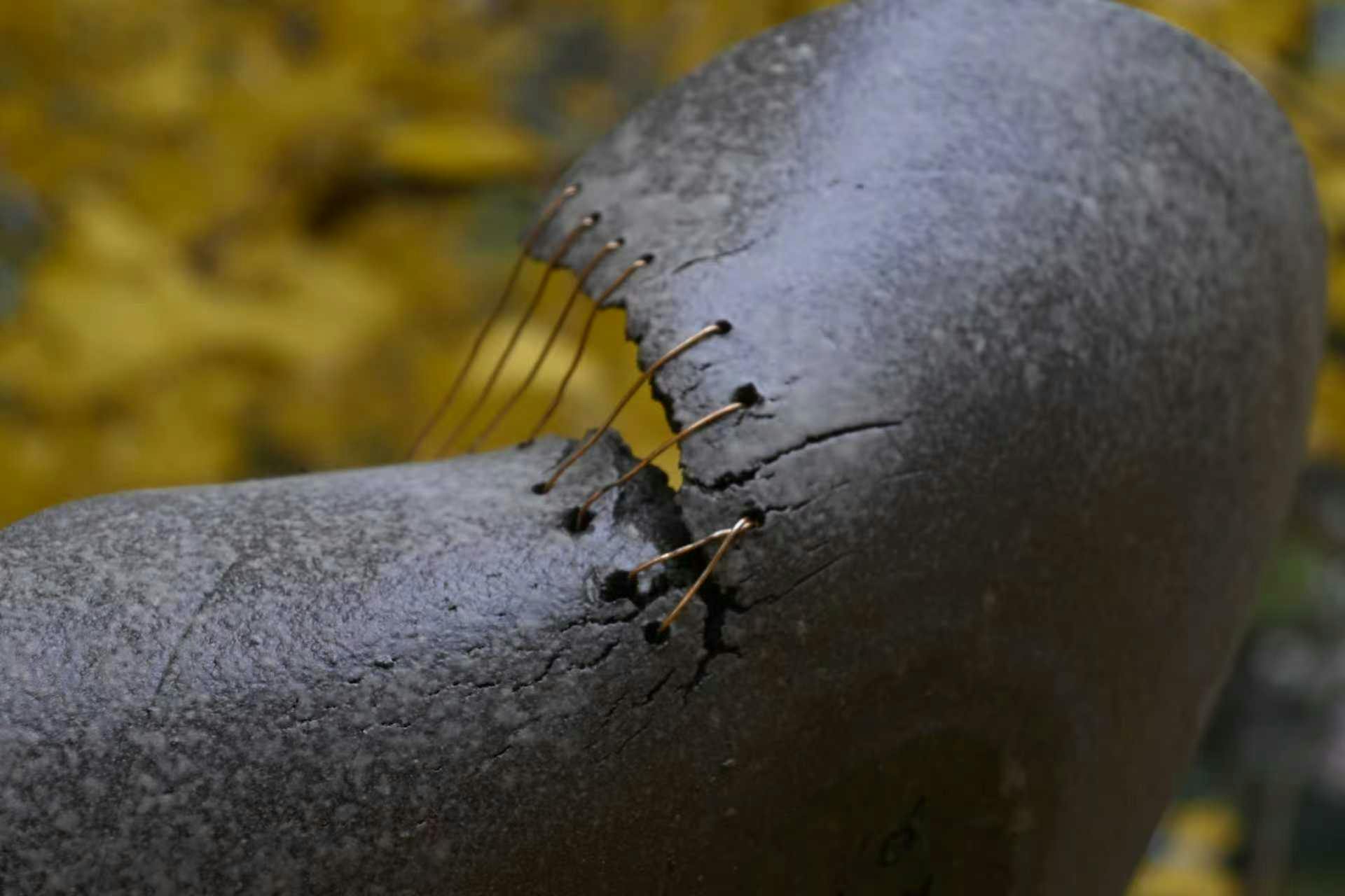 Suture 1