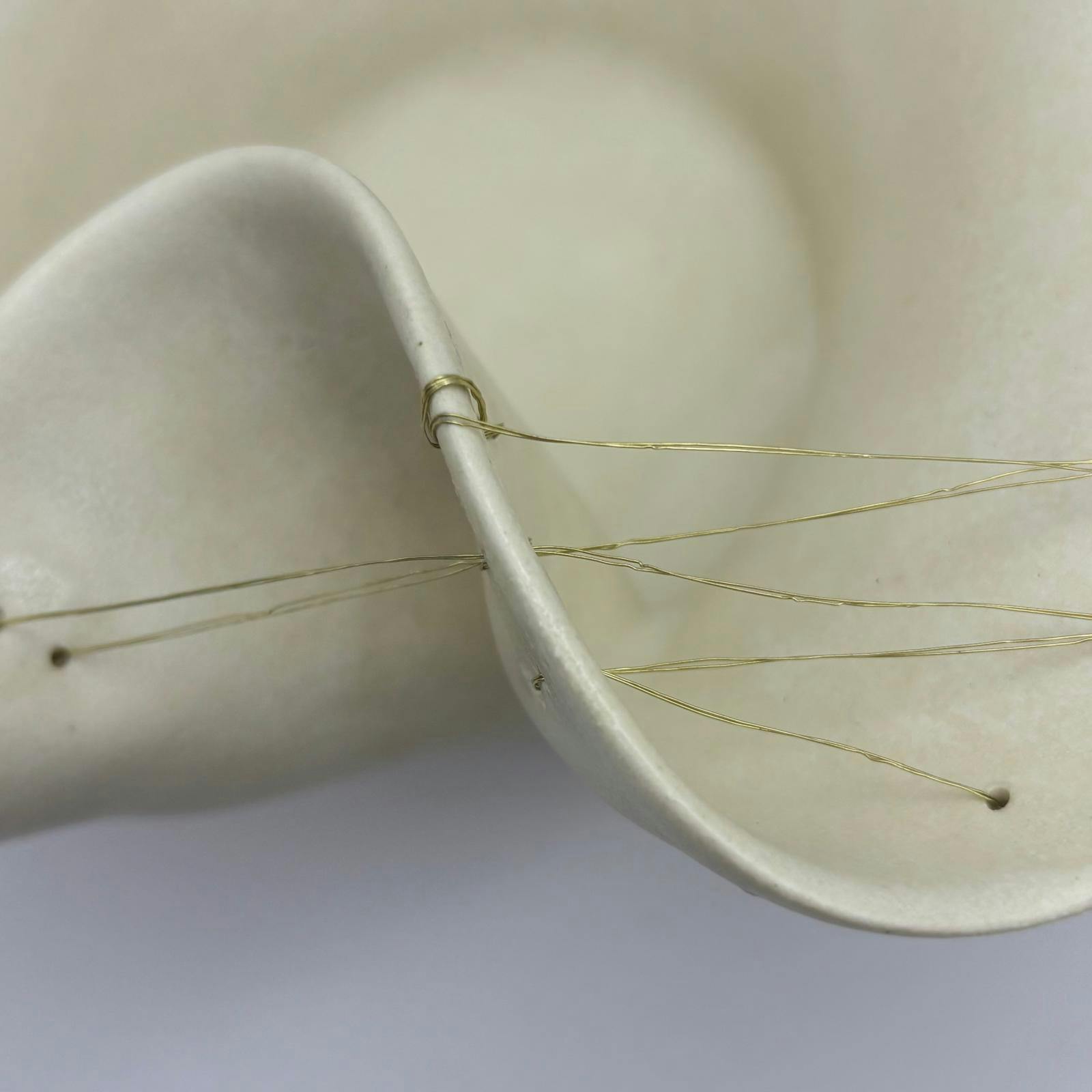 Suture 3