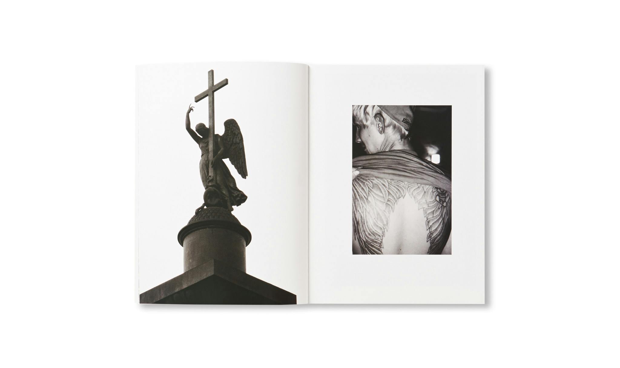 TRANSFIGURATION BOOK
