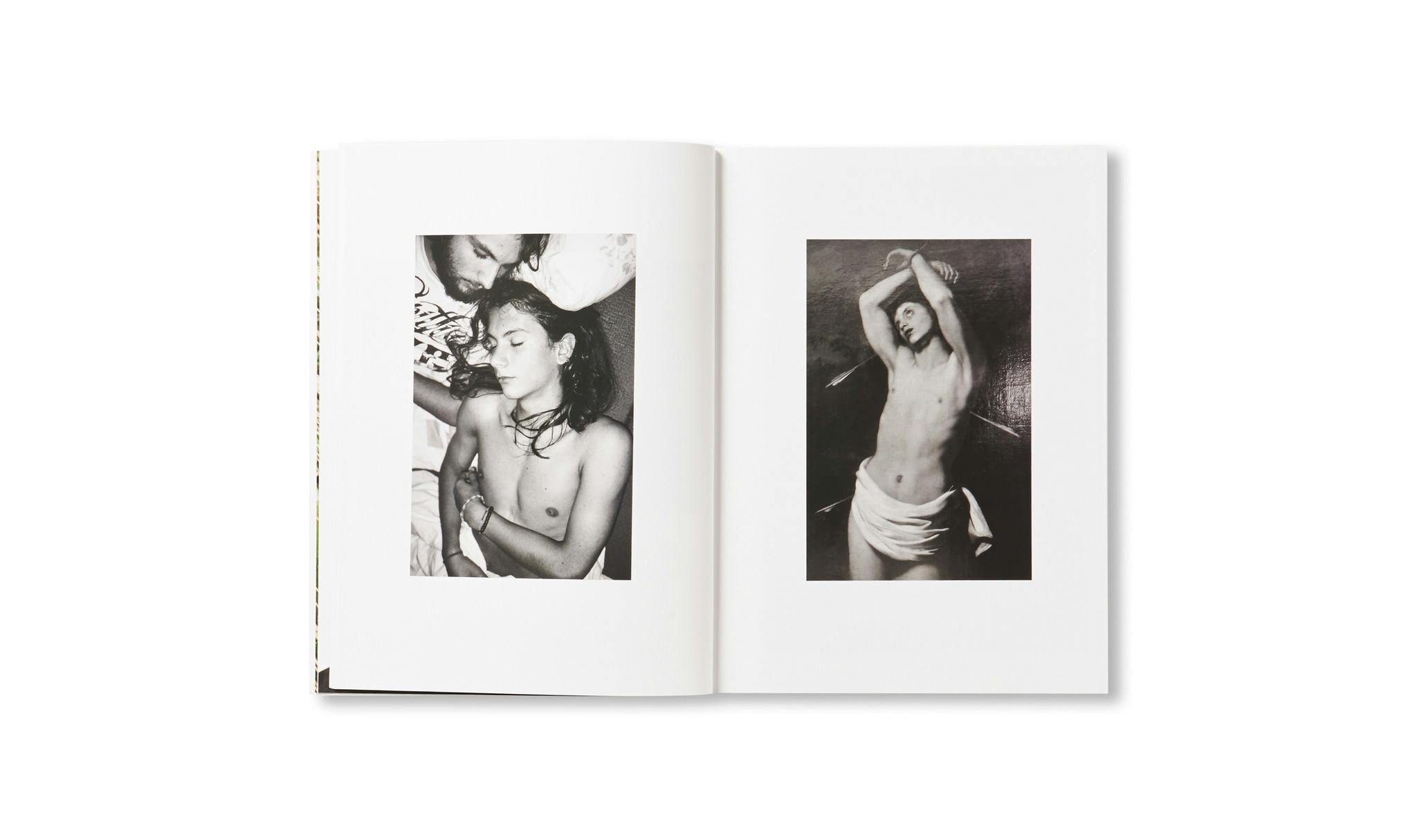 TRANSFIGURATION BOOK