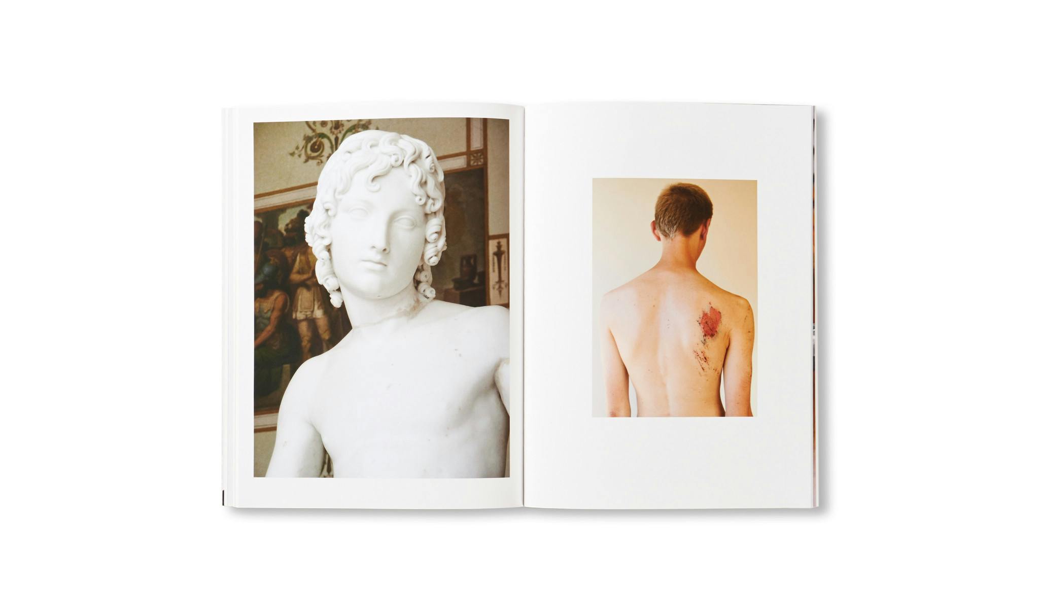 TRANSFIGURATION BOOK