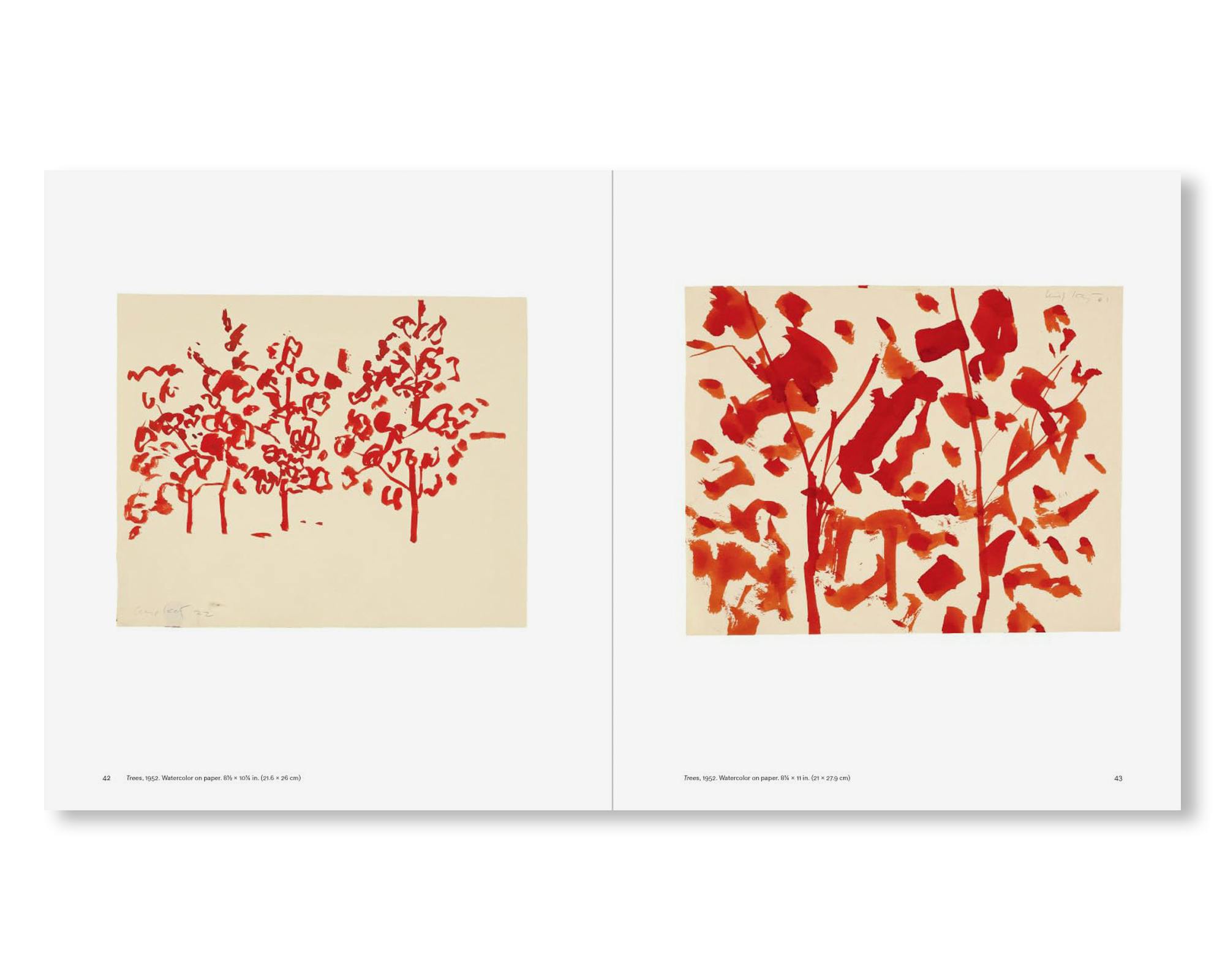 OUT OF SIGHT A DRAWING SURVEY
