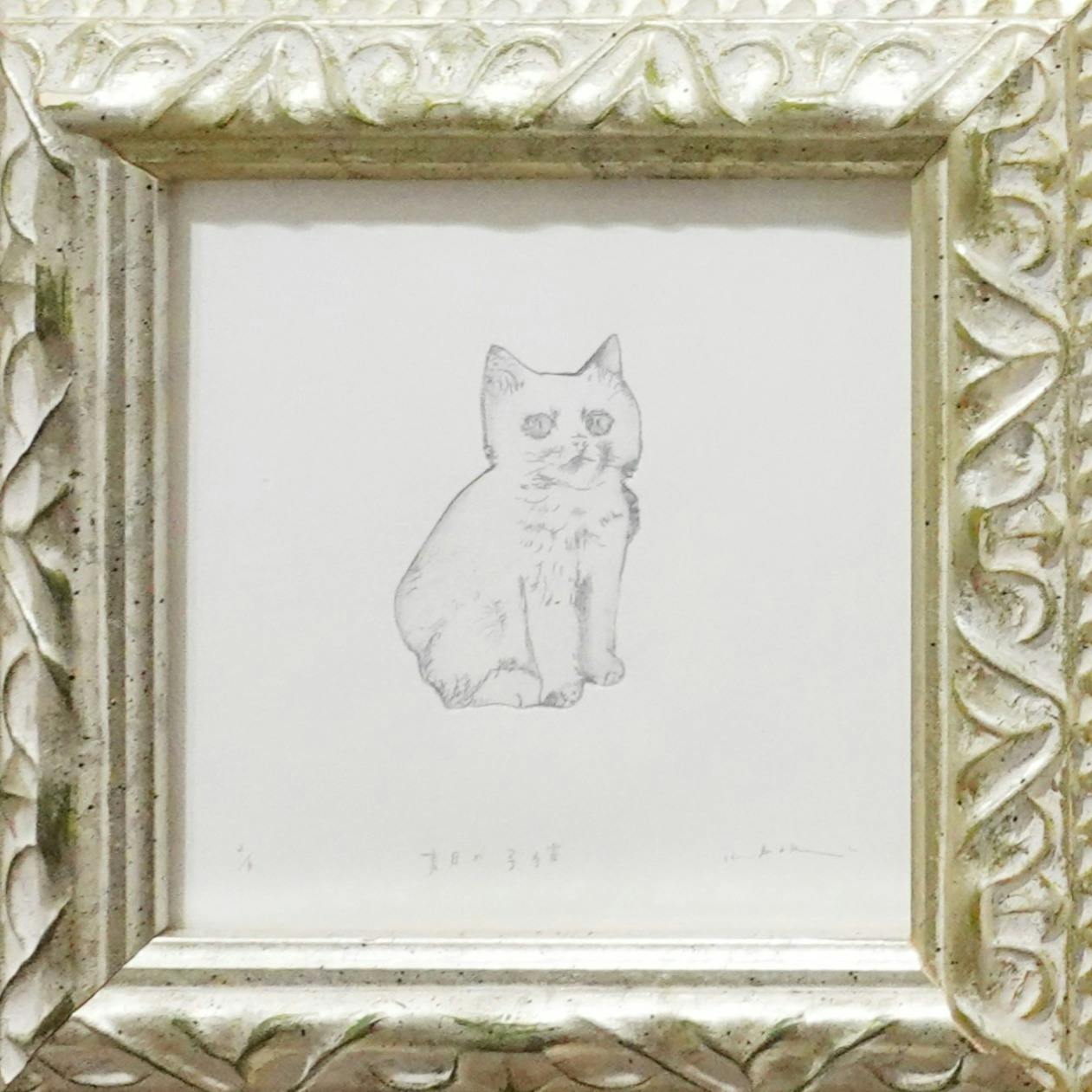 青目の子猫