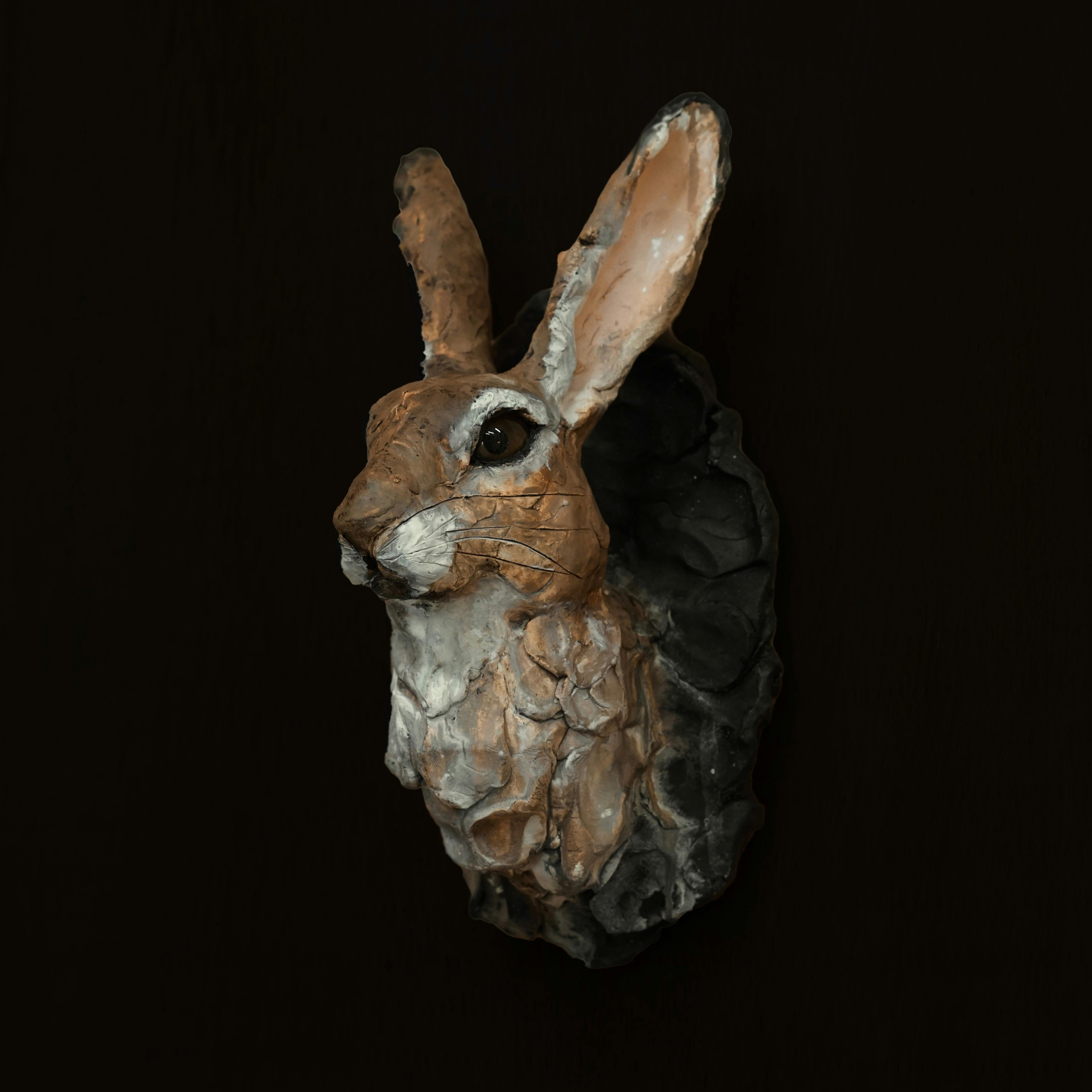 Proof of Life -ウサギ-