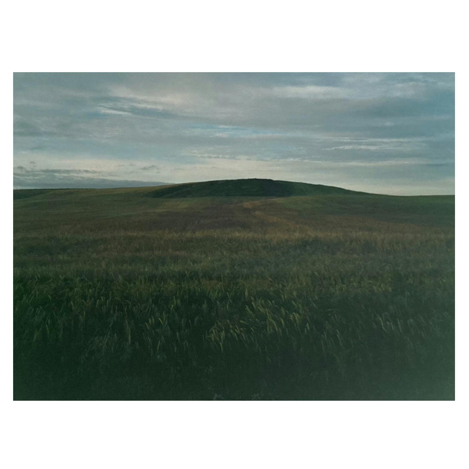 Ωα:カミーノ沿いの風景（麦畑）