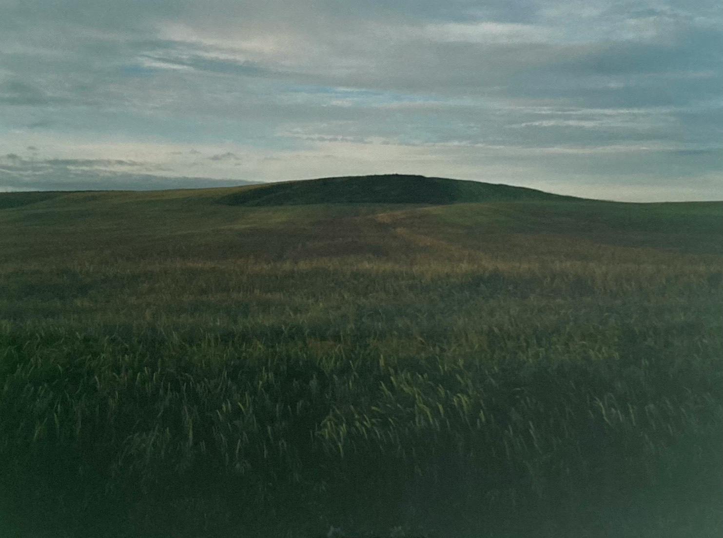 Ωα:カミーノ沿いの風景（麦畑）