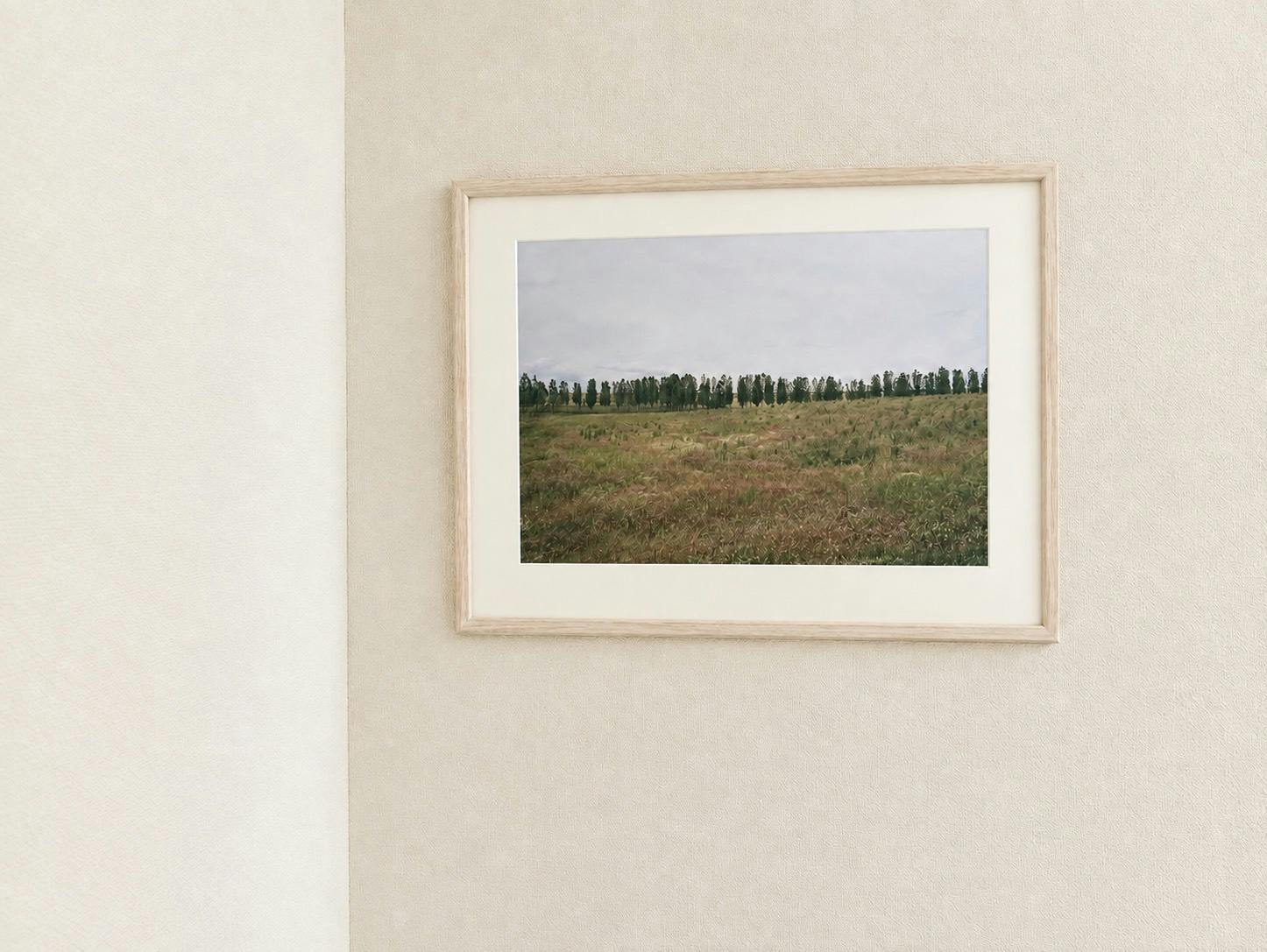Ωα:カミーノ沿いの風景（木）
