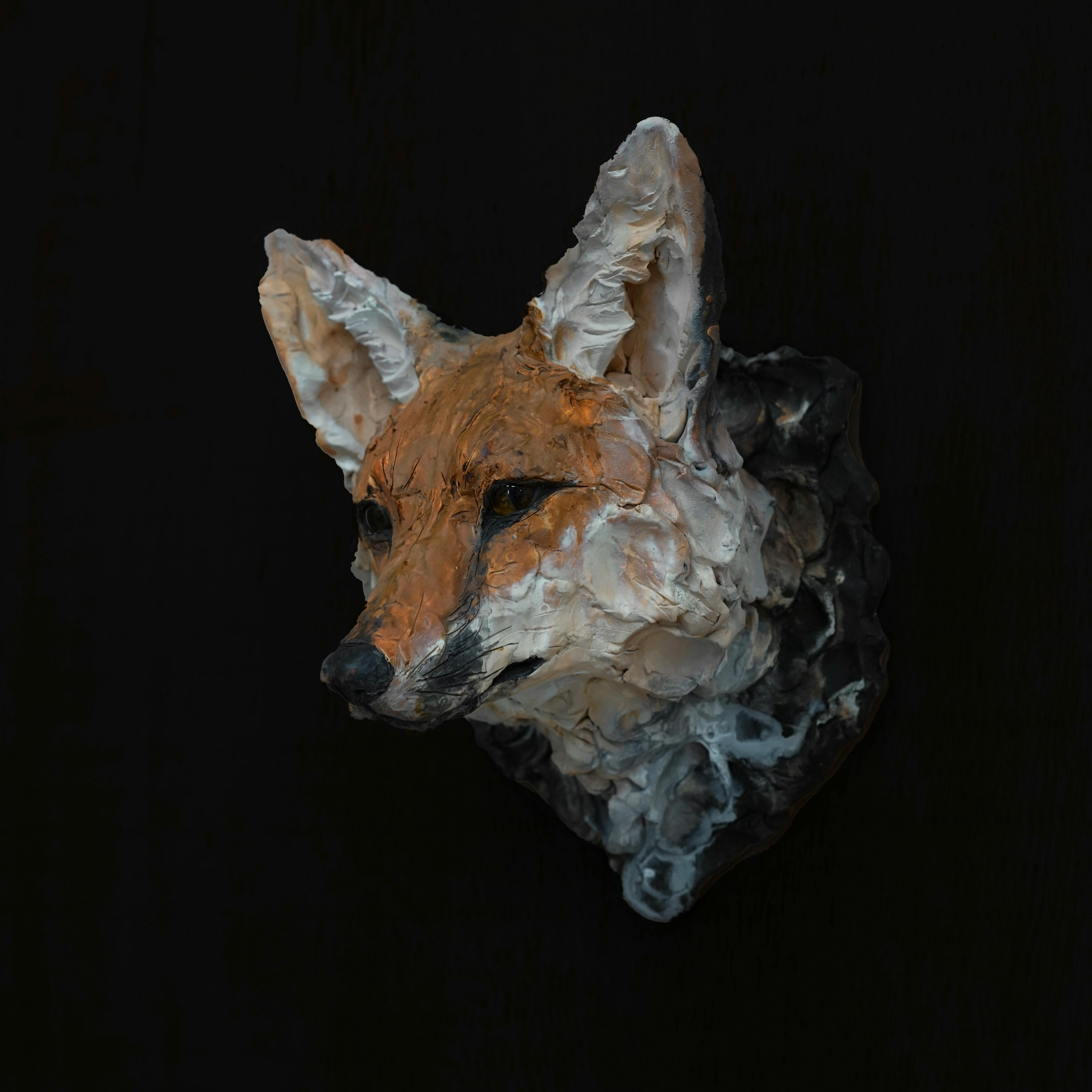 Proof of Life -キツネ-