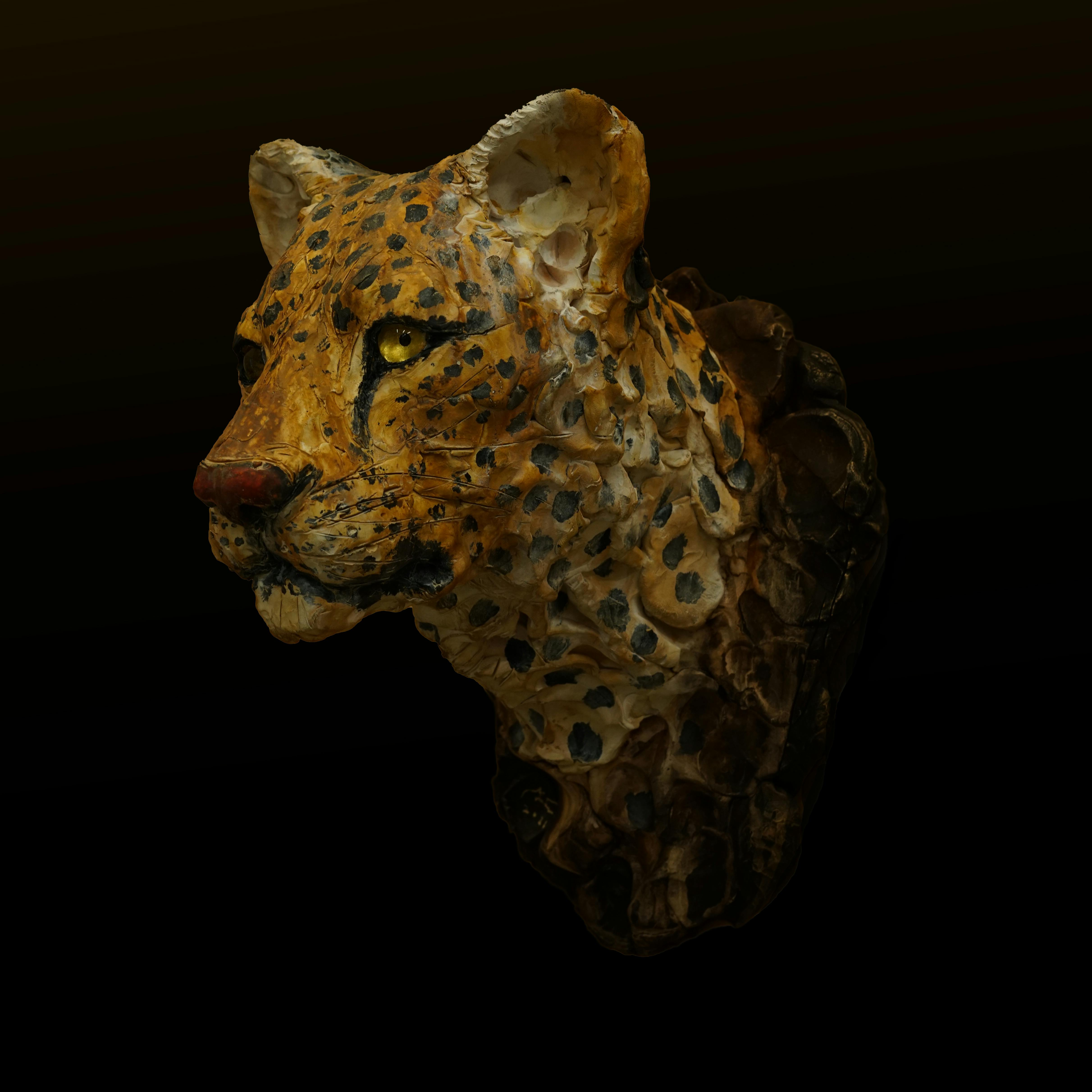 Proof of Life -ヒョウ-