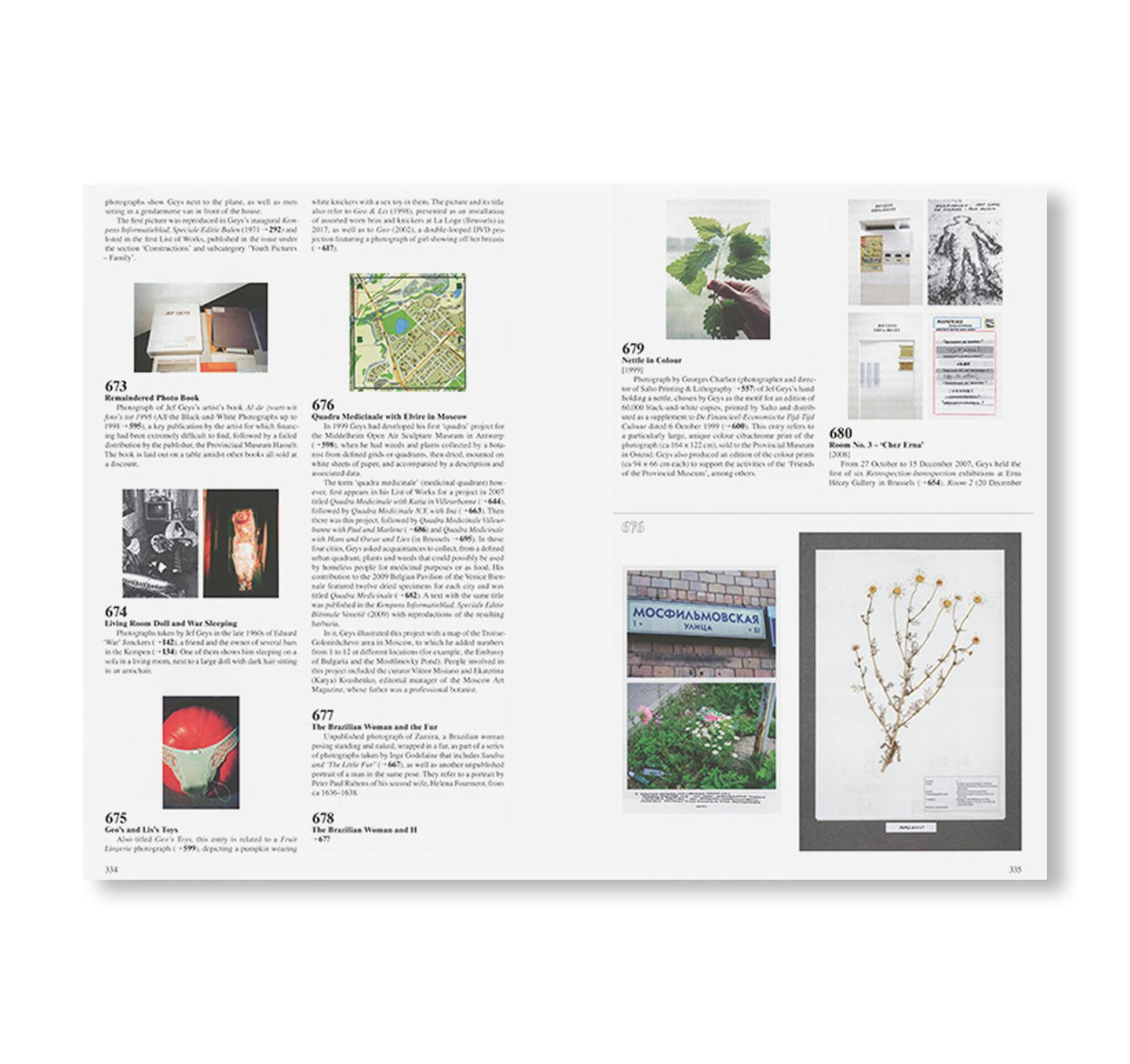 JEF GEYS: CATALOGUE RAISONNABLE
