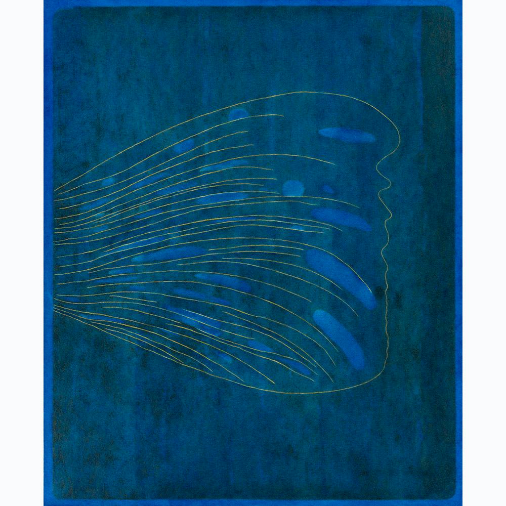 A feather 「羽」