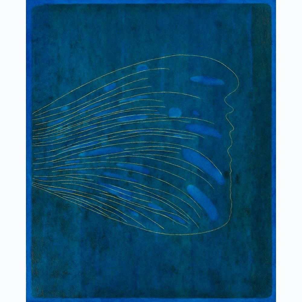 A feather 「羽」