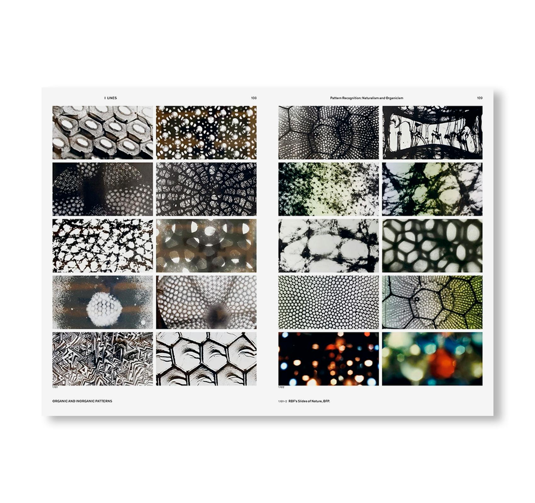 R. BUCKMINSTER FULLER: PATTERN-THINKING