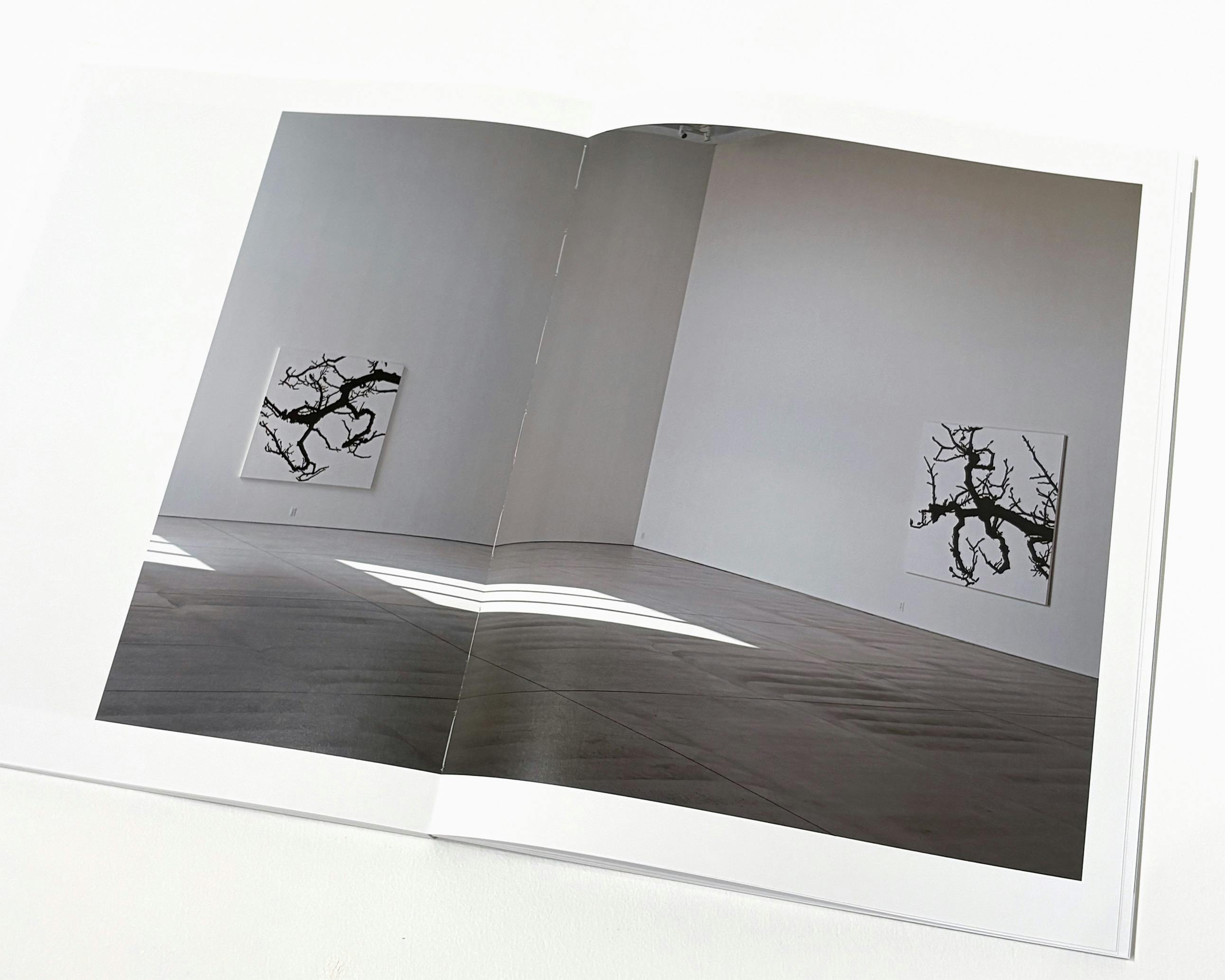 日高理恵子「空間と、自然光と、絵と、」