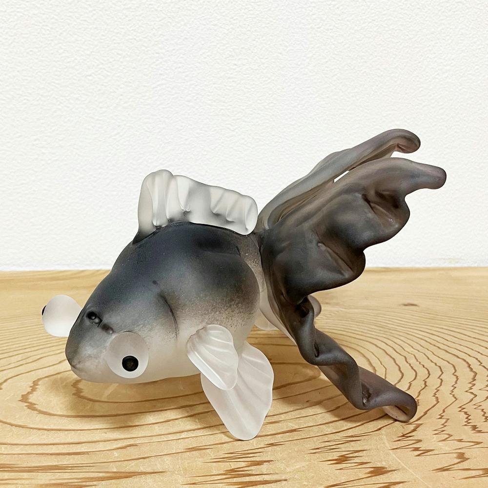 出目金