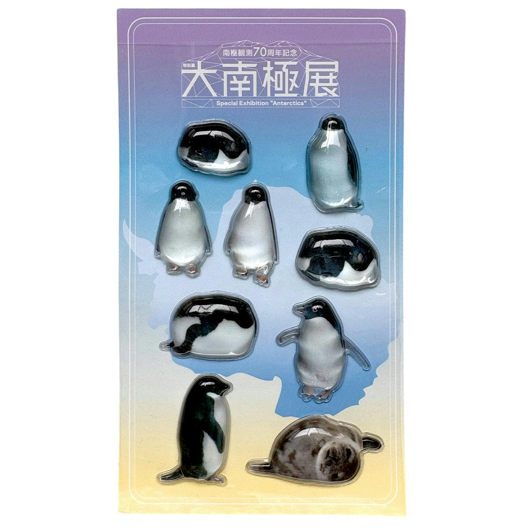 大南極展 クリアドームシール