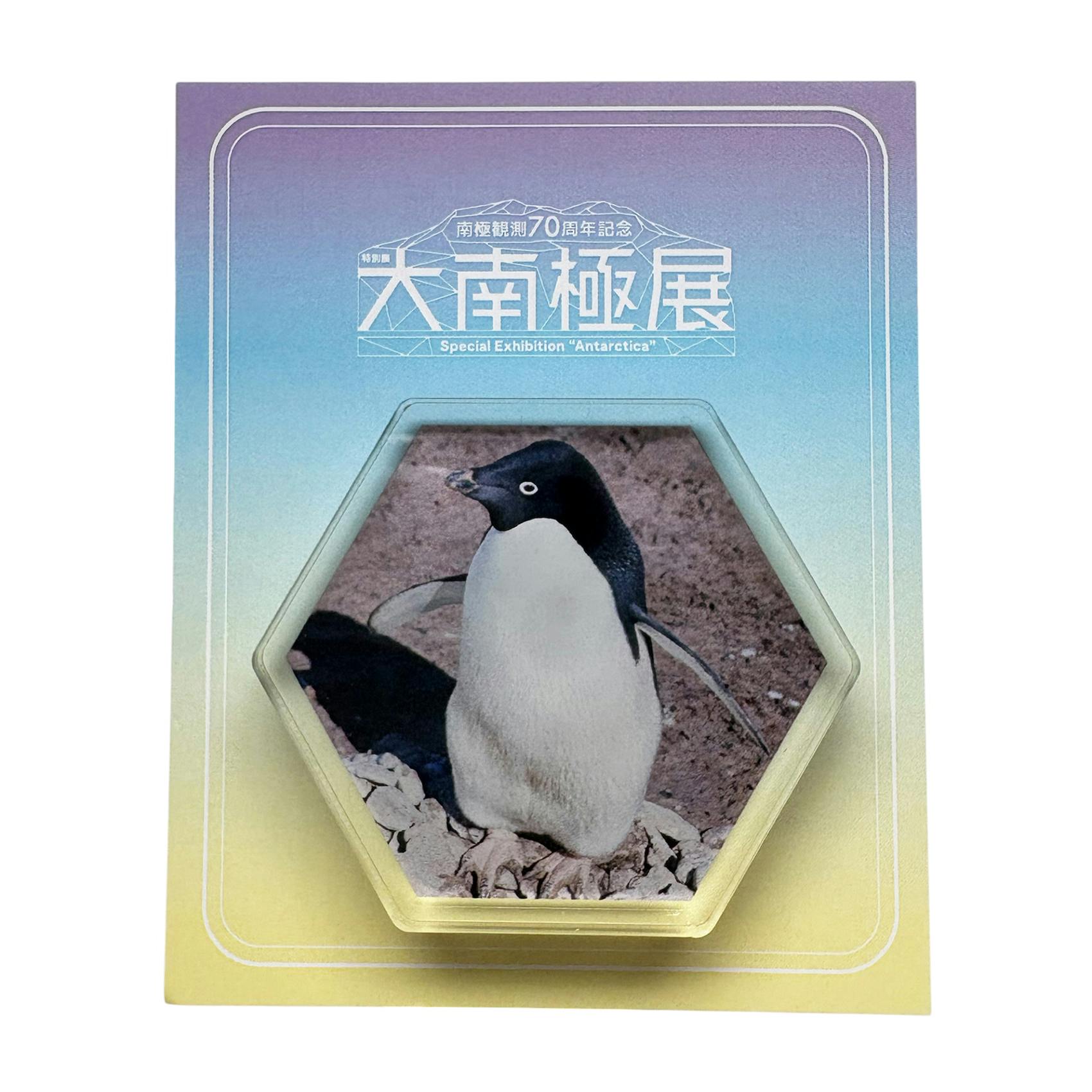 大南極展 アクリルマグネットA（アデリーペンギン）