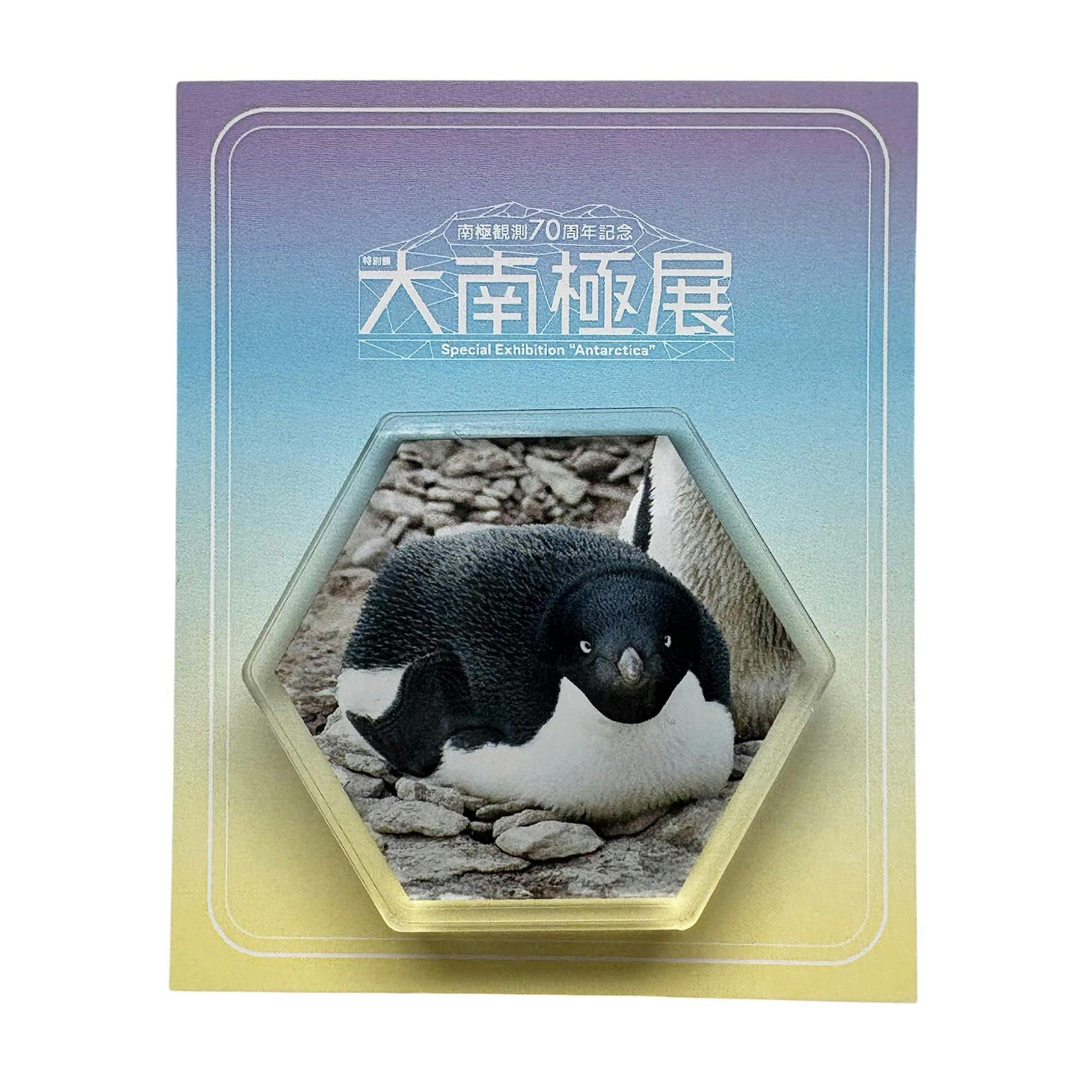 大南極展 アクリルマグネットB（丸くなるアデリーペンギン）