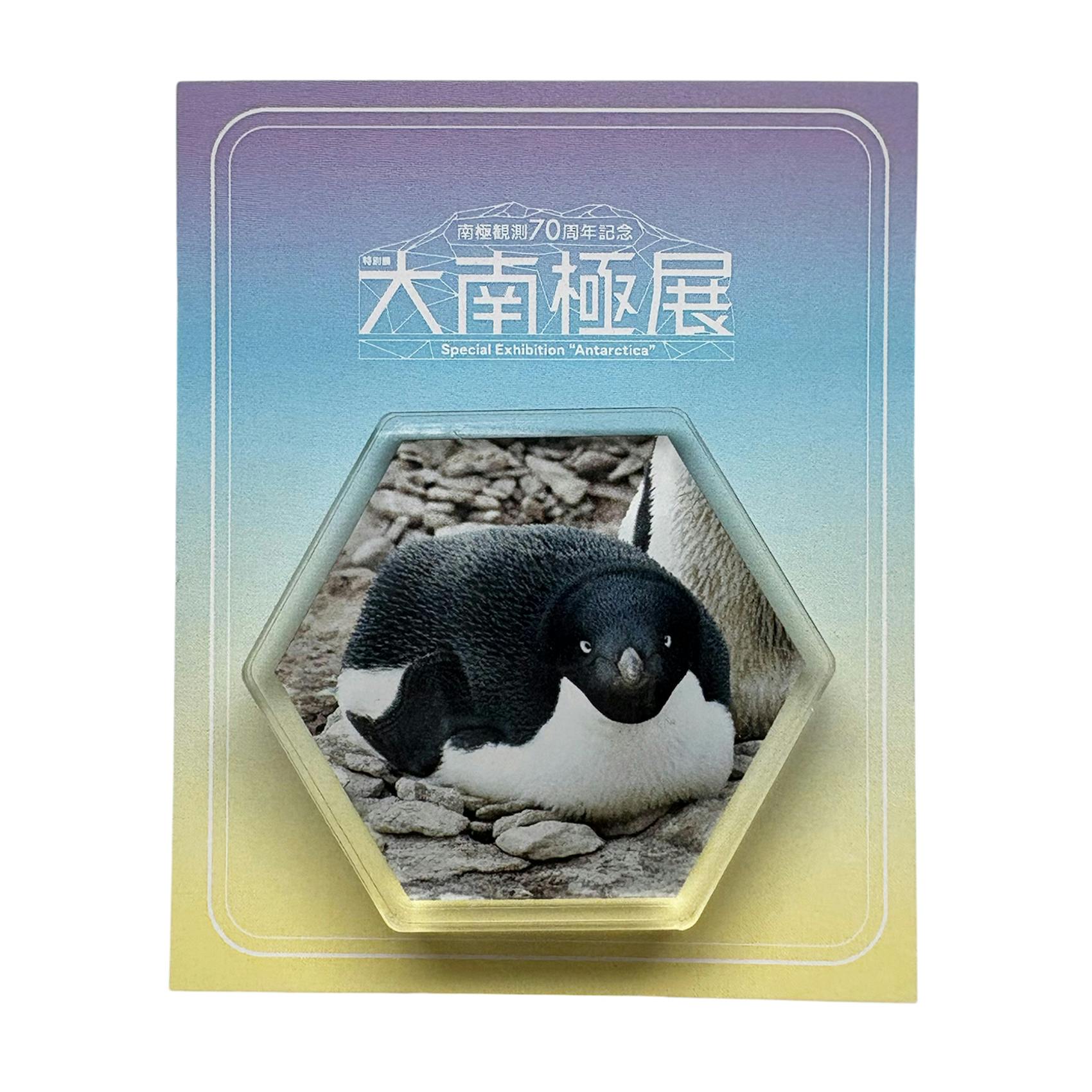 大南極展 アクリルマグネットB（丸くなるアデリーペンギン）