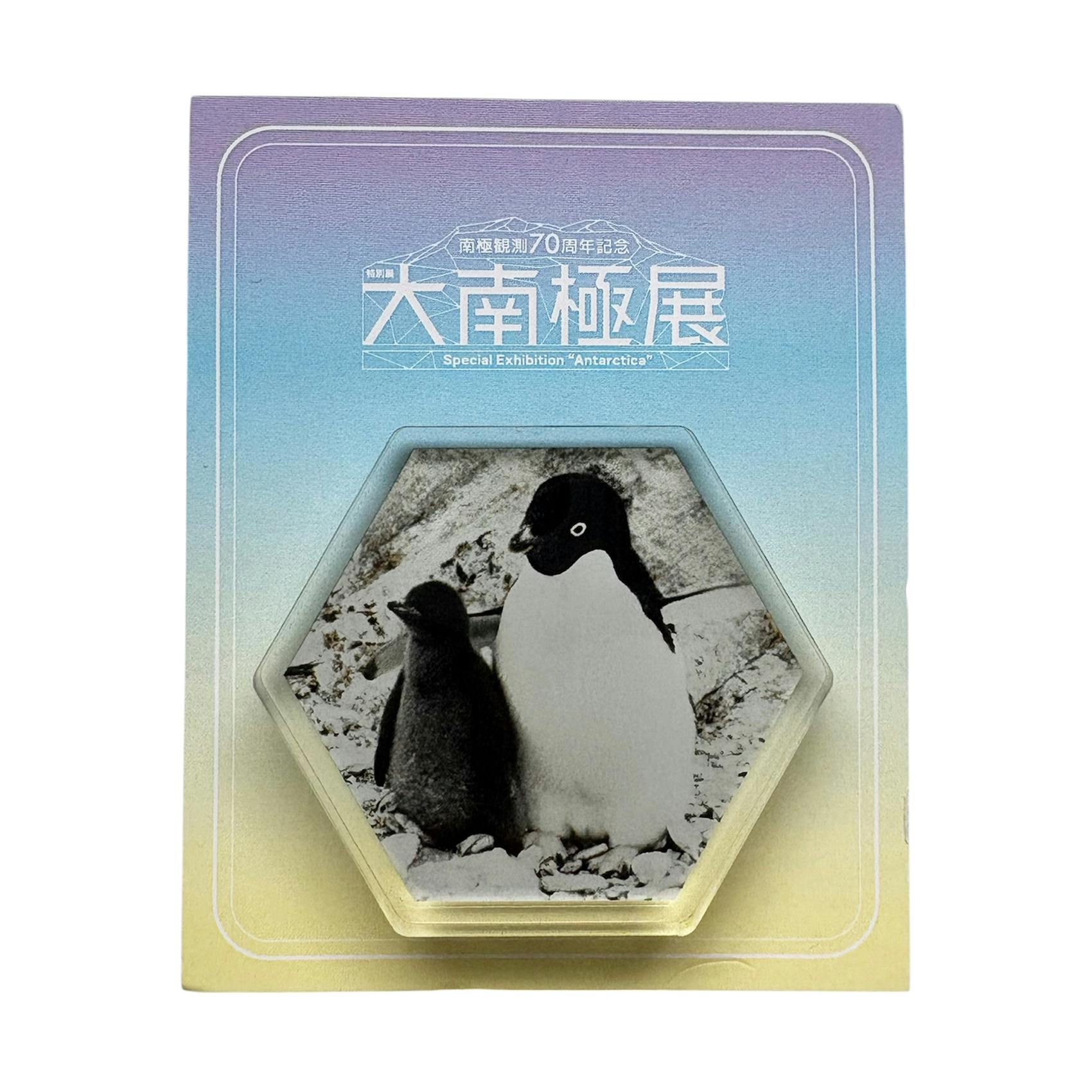 大南極展 アクリルマグネットC（アデリーペンギンの親子）