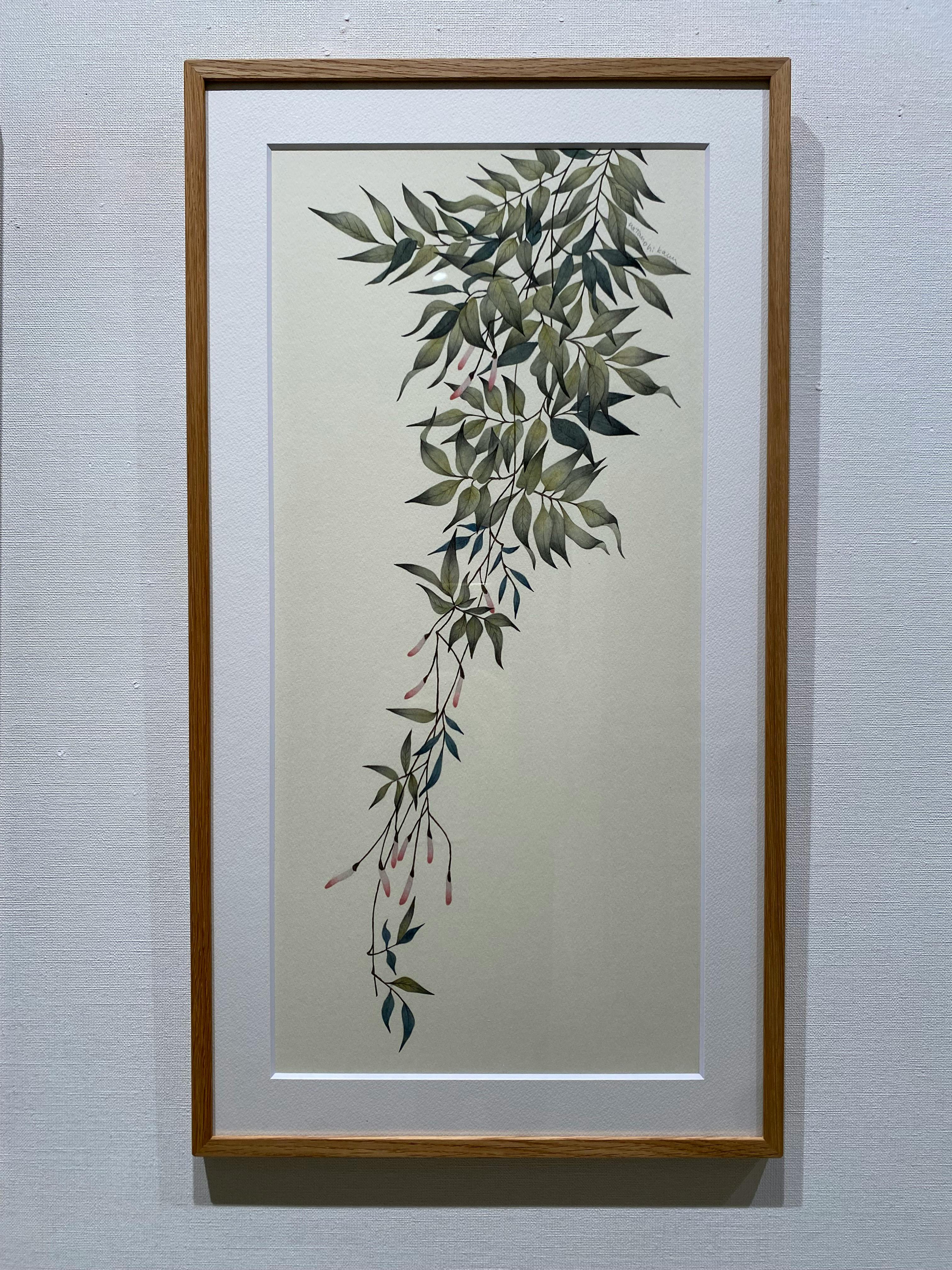 羽衣ジャスミン